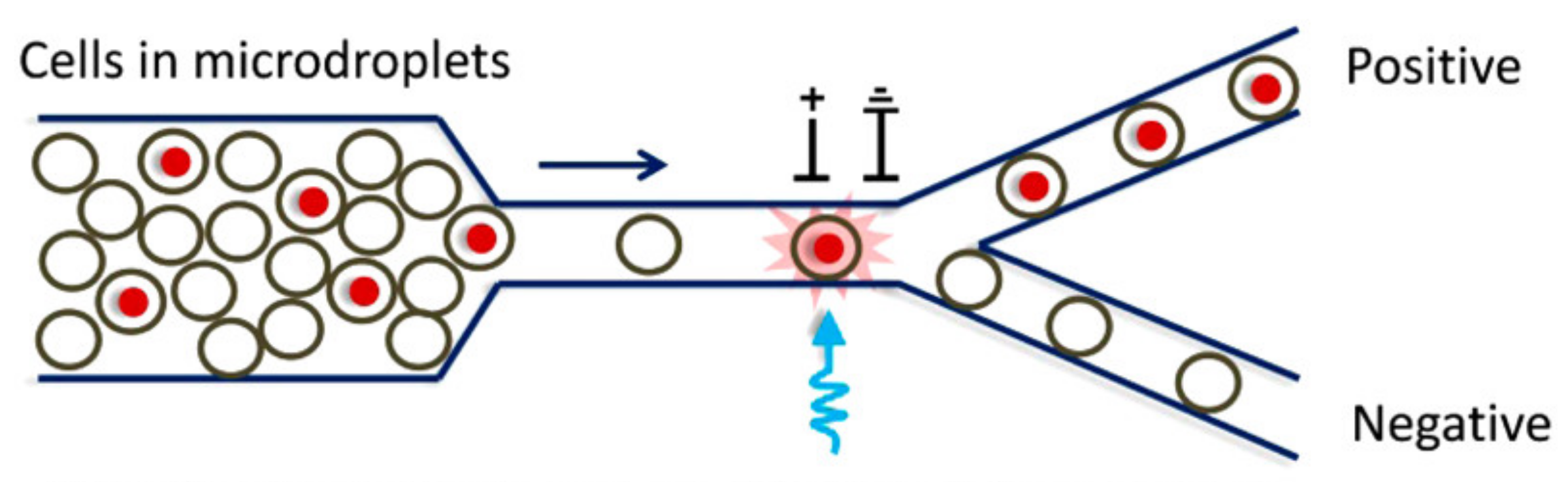 Biosensors 12 01024 g010 Biosensors 12 01024 g010