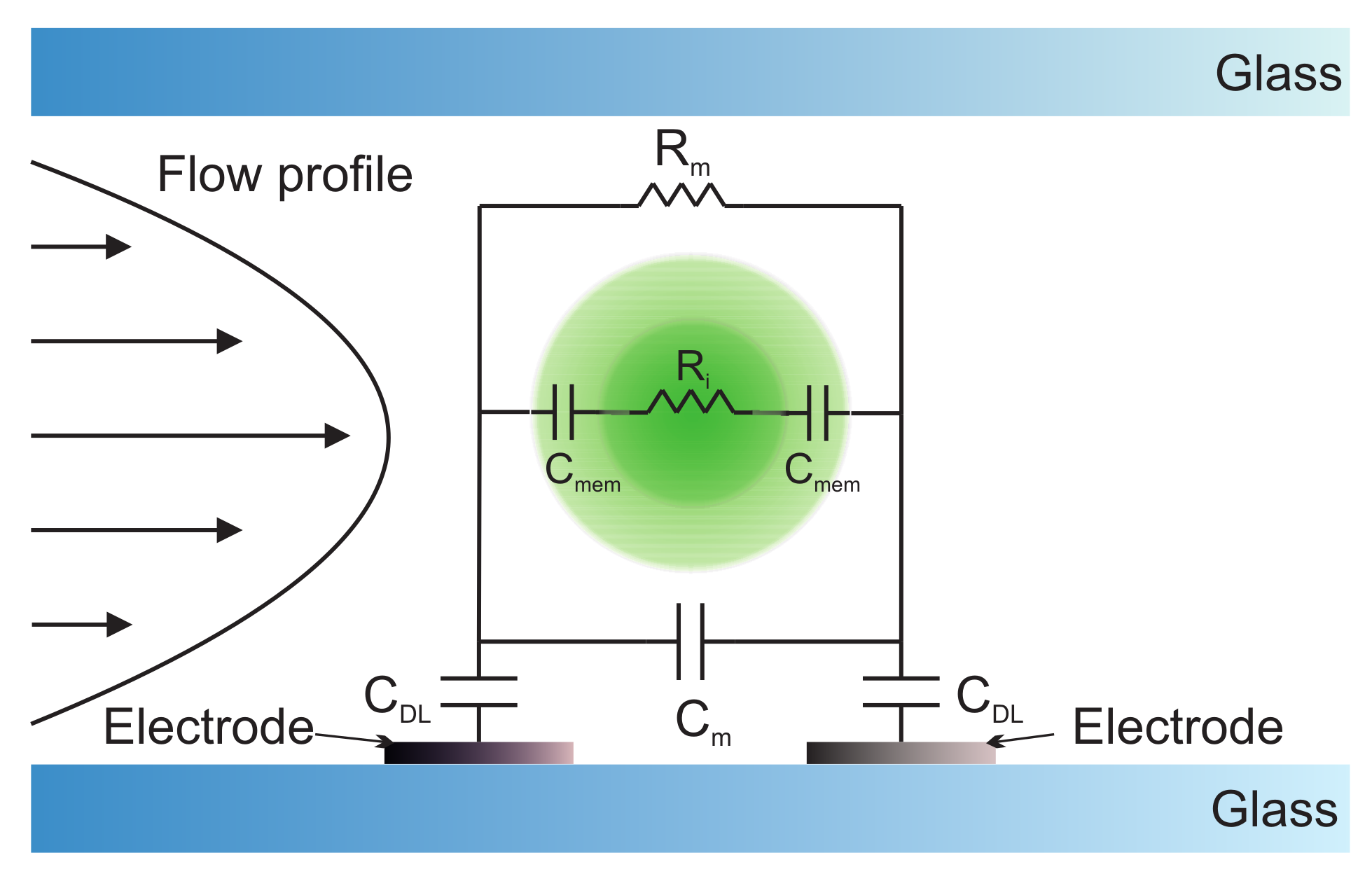 Biosensors 12 01024 g012 Biosensors 12 01024 g012