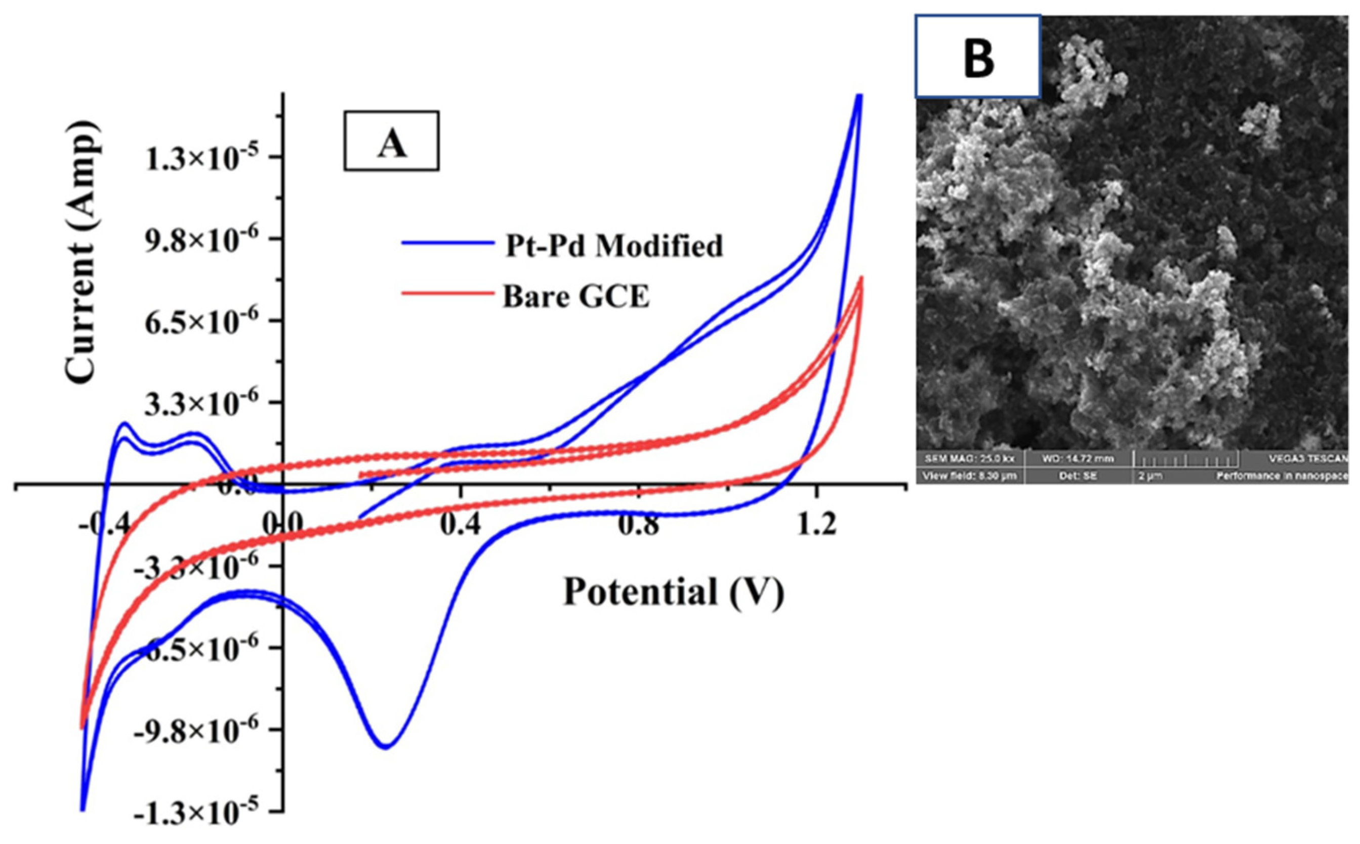 Biosensors 12 01026 g001 Biosensors 12 01026 g001