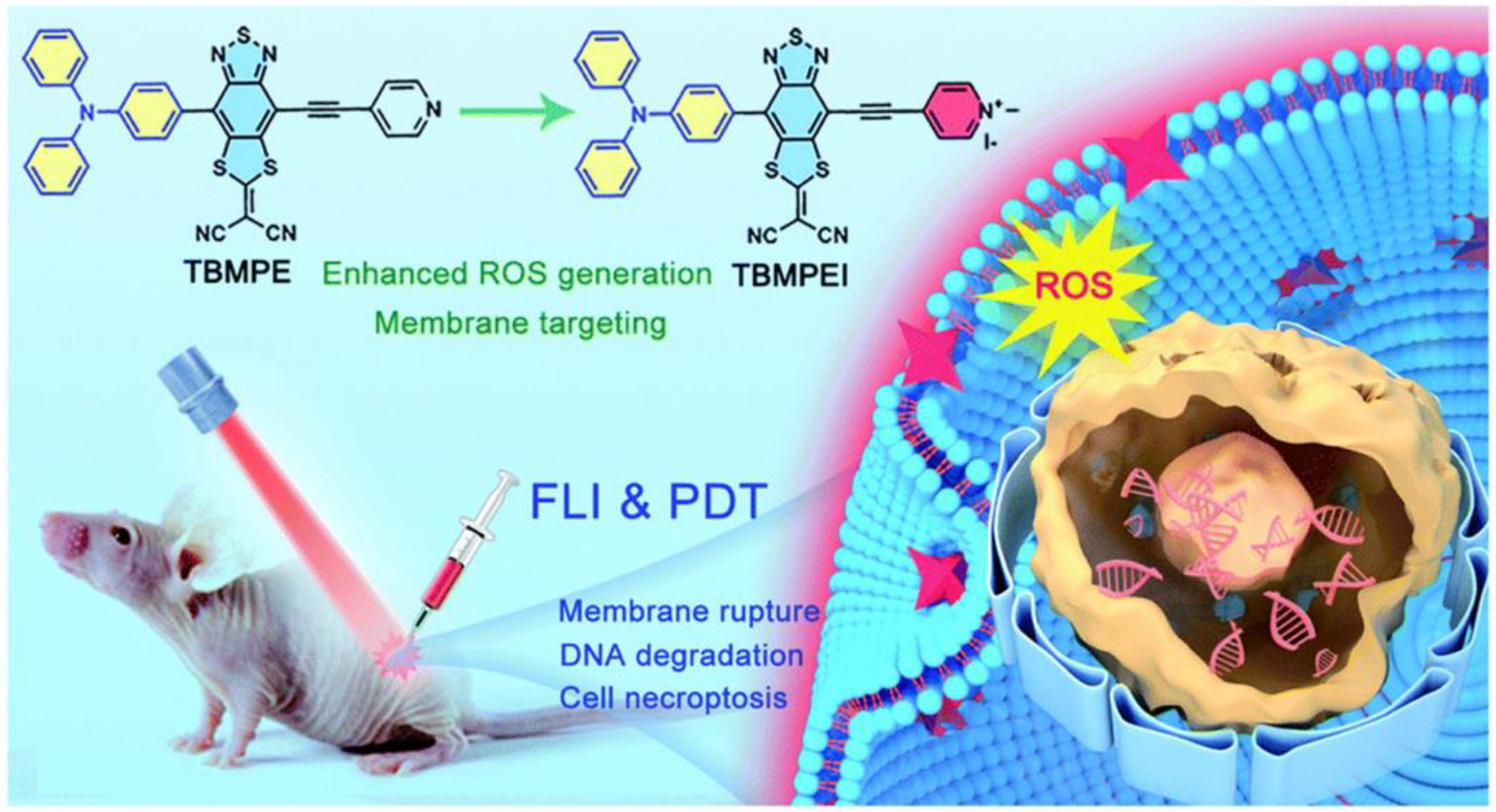 Biosensors 12 01027 g002 Biosensors 12 01027 g002