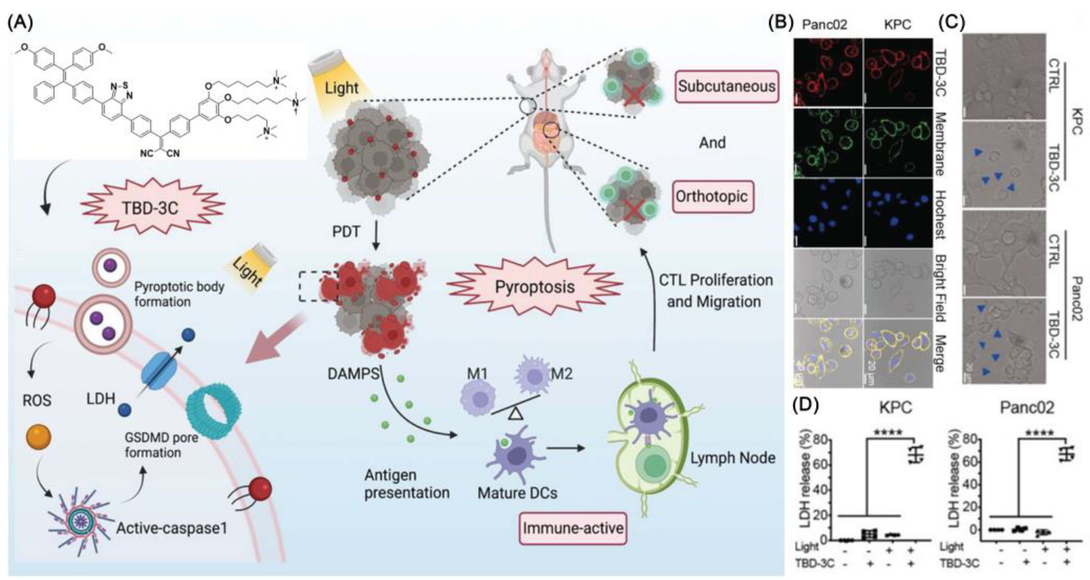 Biosensors 12 01027 g003 Biosensors 12 01027 g003