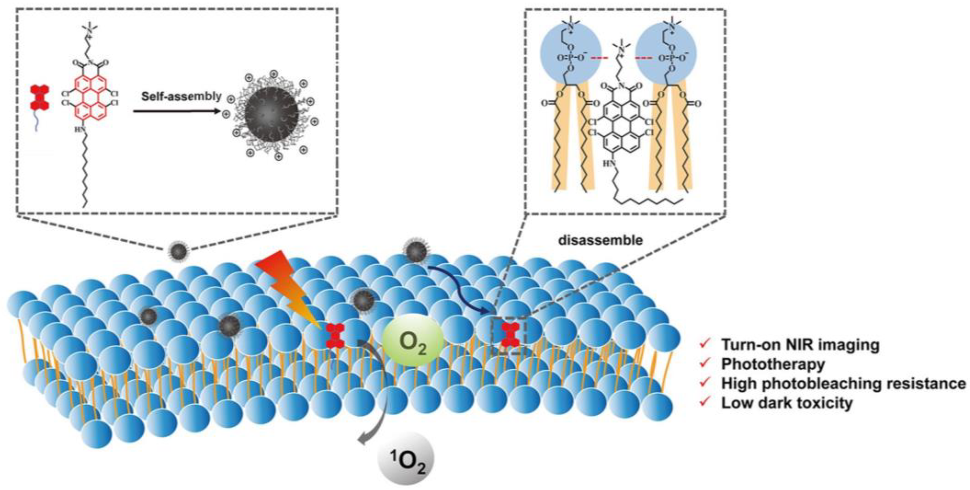 Biosensors 12 01027 g004 Biosensors 12 01027 g004