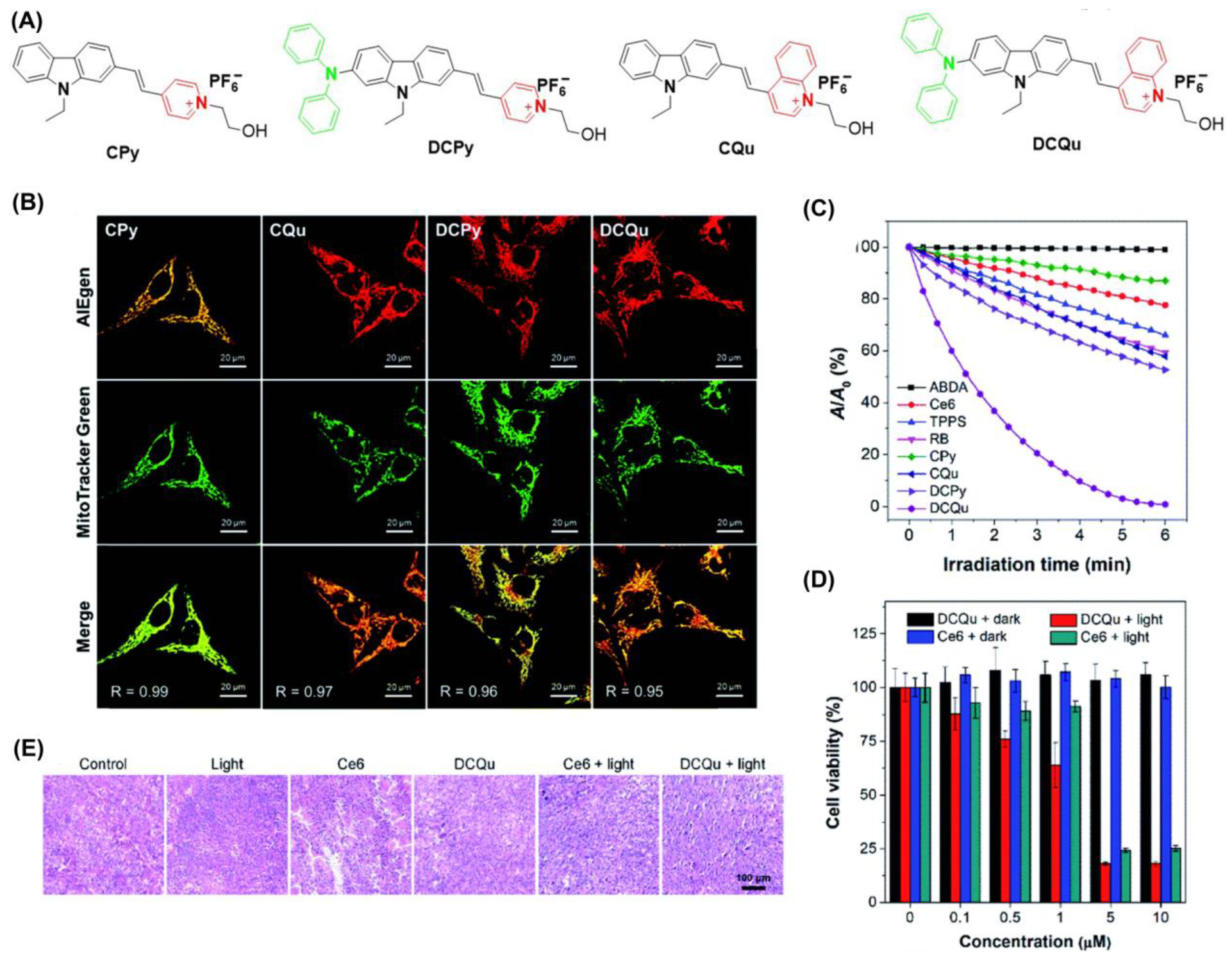Biosensors 12 01027 g008 Biosensors 12 01027 g008