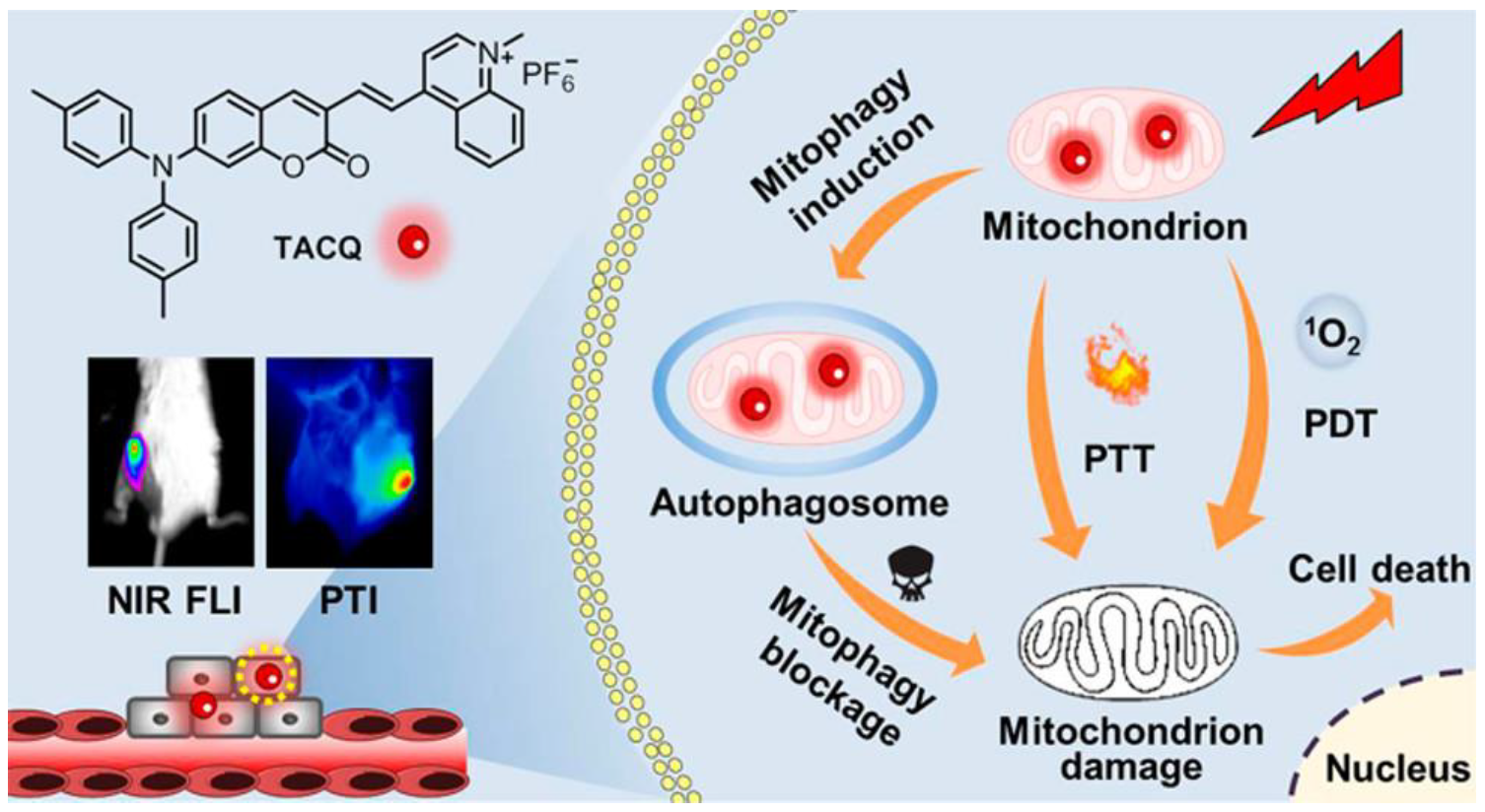 Biosensors 12 01027 g010 Biosensors 12 01027 g010