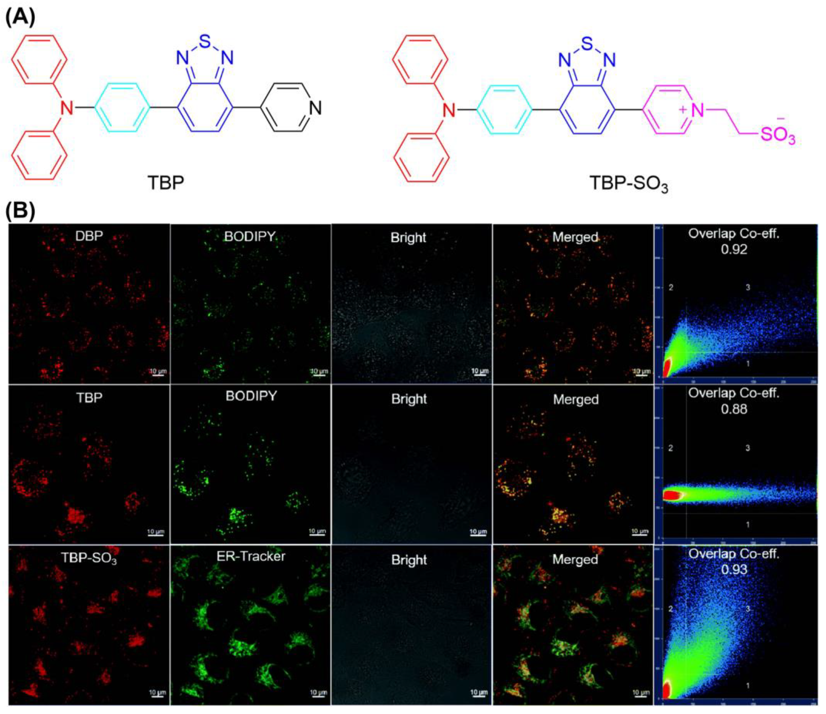 Biosensors 12 01027 g014 Biosensors 12 01027 g014