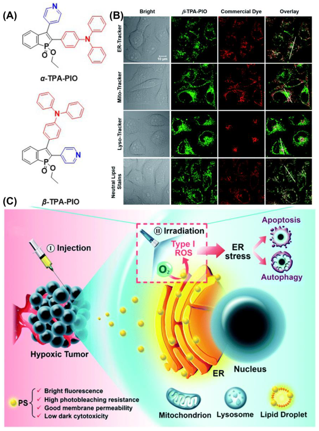 Biosensors 12 01027 g015 Biosensors 12 01027 g015