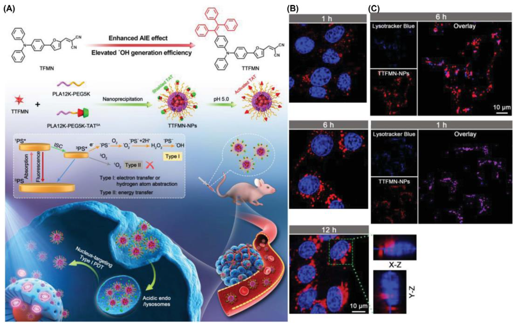 Biosensors 12 01027 g019 Biosensors 12 01027 g019