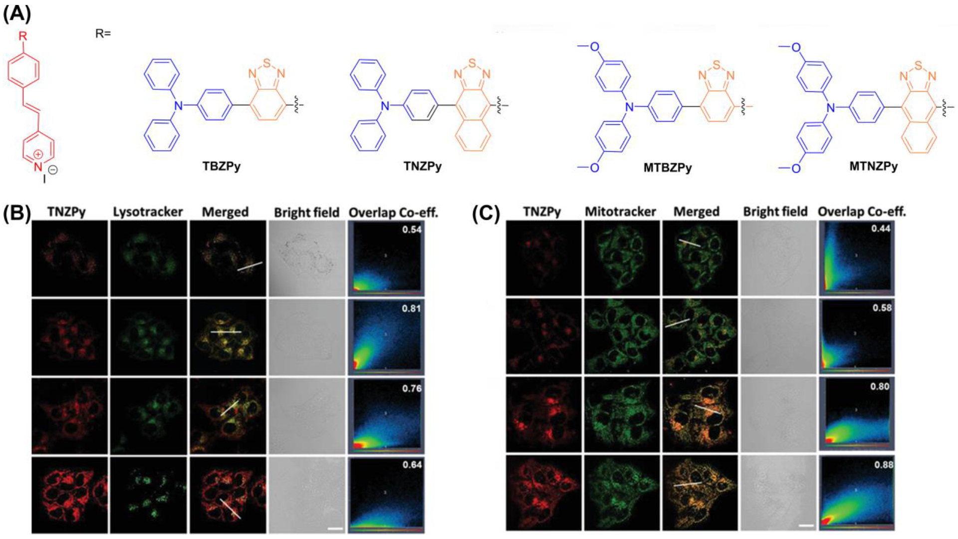 Biosensors 12 01027 g021 Biosensors 12 01027 g021
