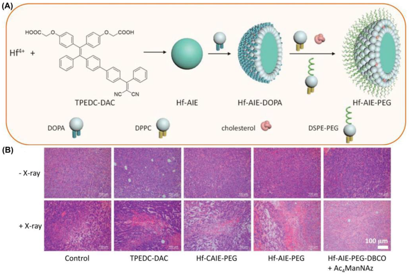 Biosensors 12 01027 g024 Biosensors 12 01027 g024