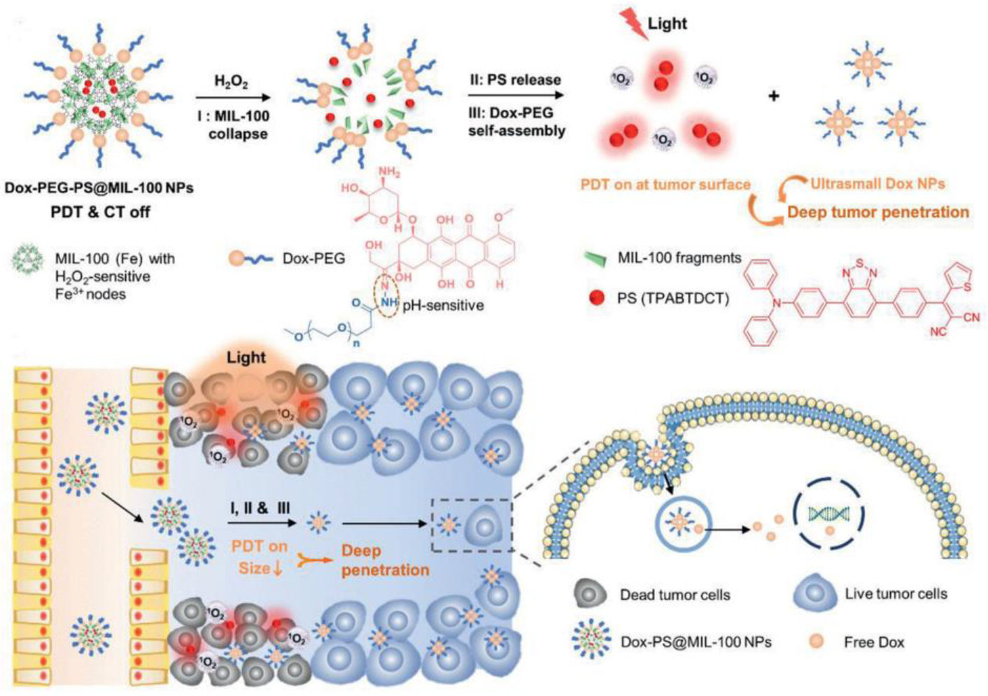Biosensors 12 01027 g025 Biosensors 12 01027 g025