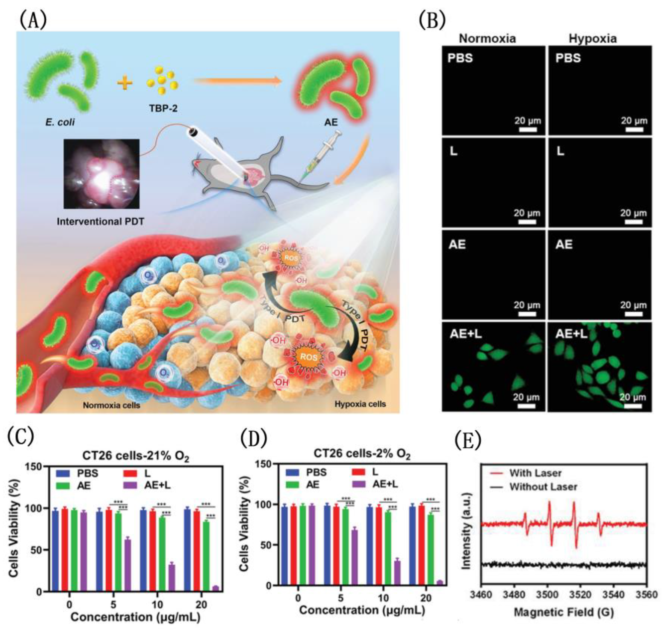 Biosensors 12 01027 g027 Biosensors 12 01027 g027