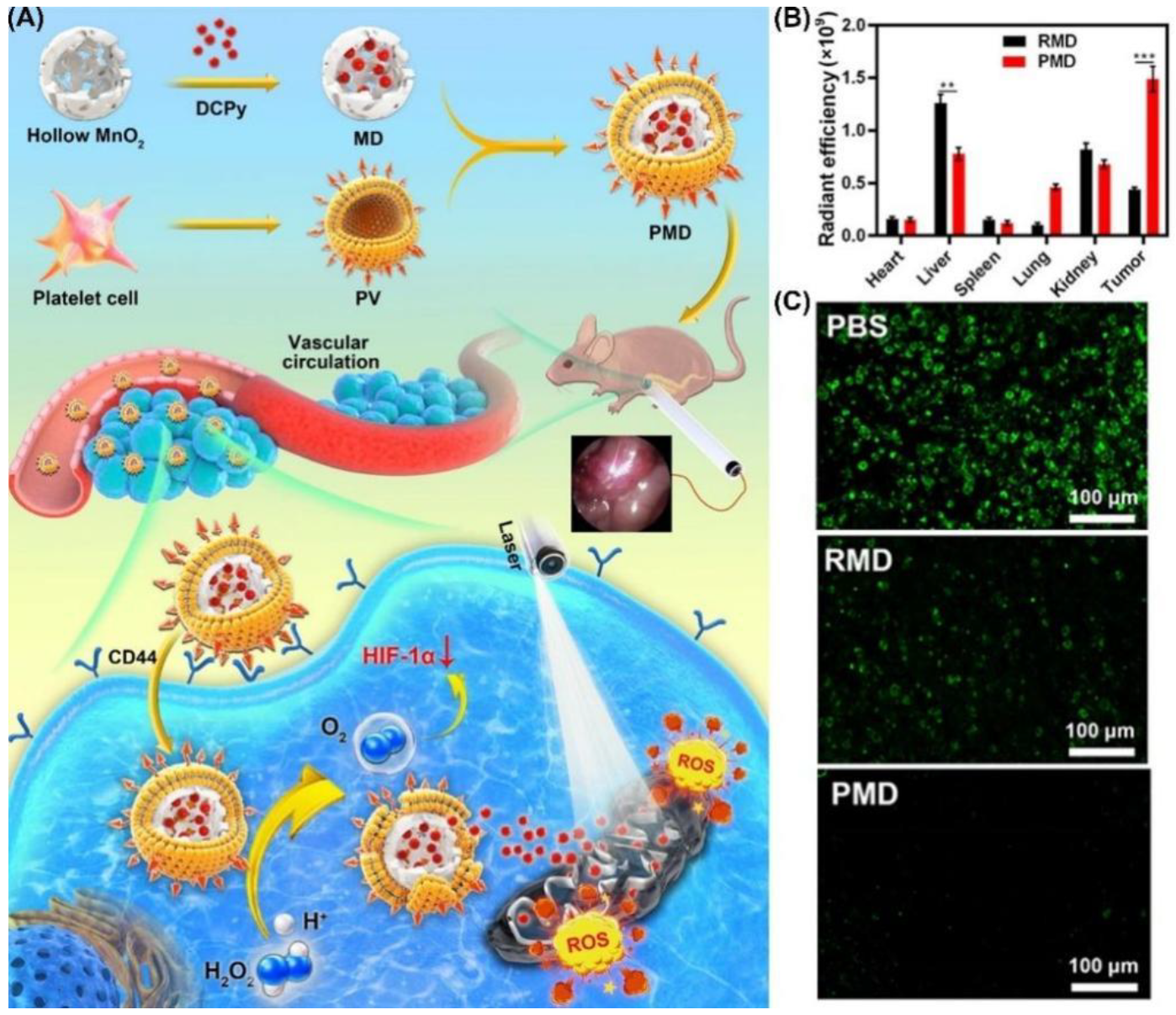 Biosensors 12 01027 g028 Biosensors 12 01027 g028