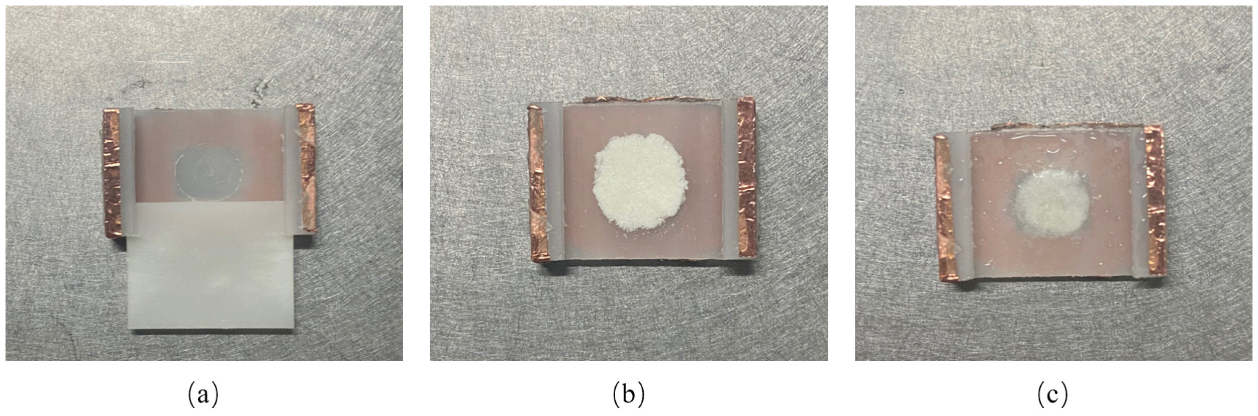 Biosensors 12 01029 g001 Biosensors 12 01029 g001
