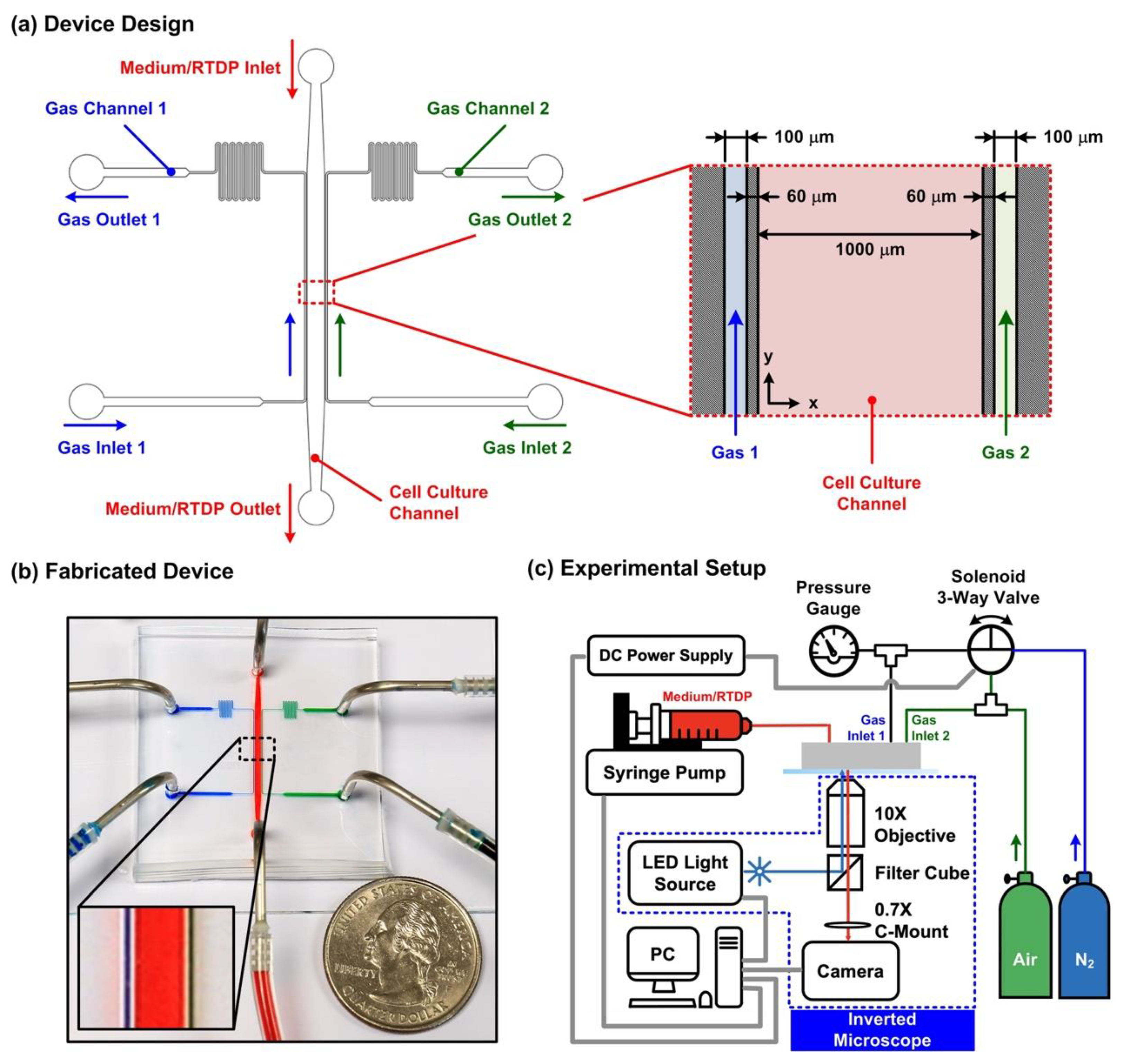 Biosensors 12 01031 g001