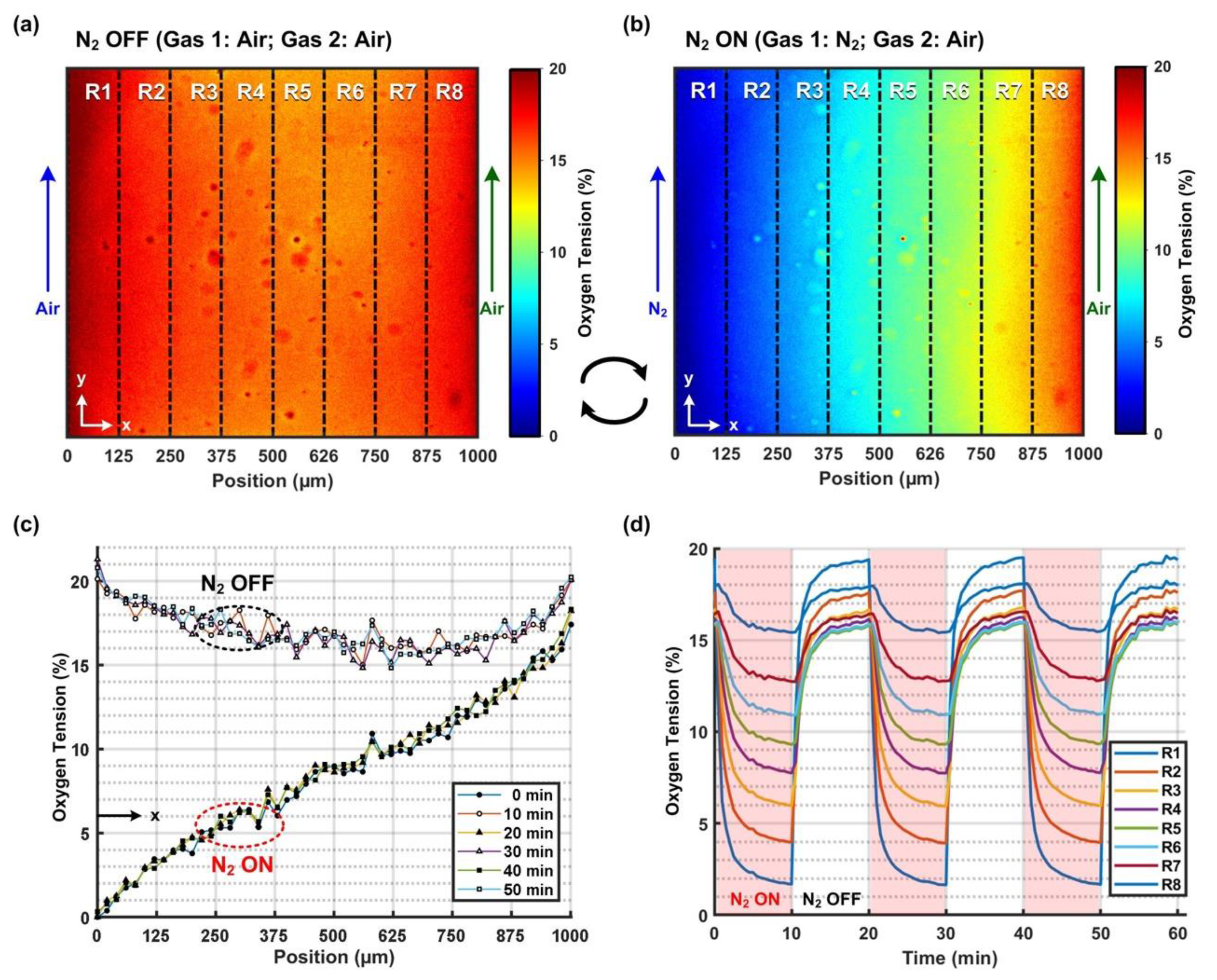 Biosensors 12 01031 g002