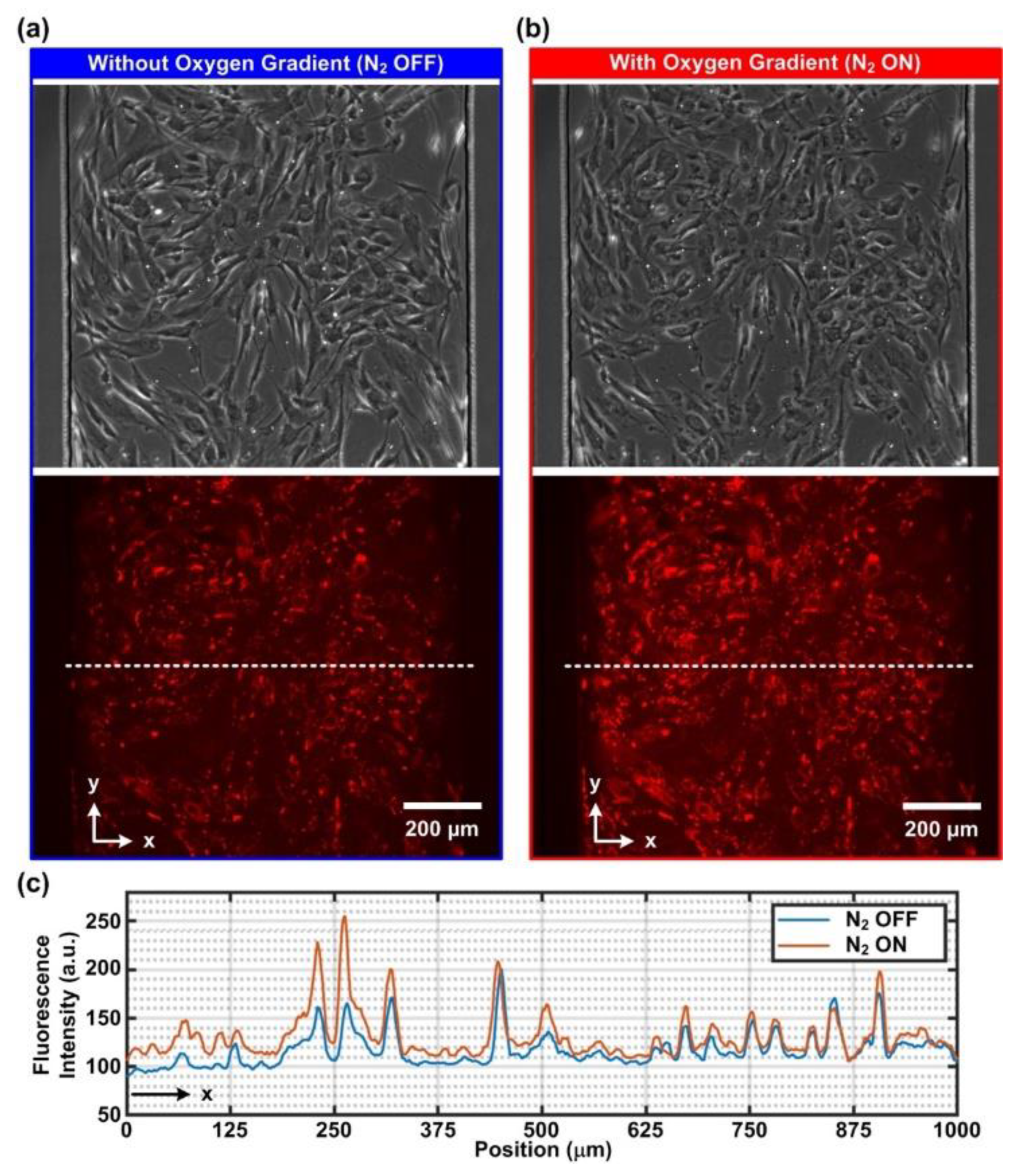 Biosensors 12 01031 g003