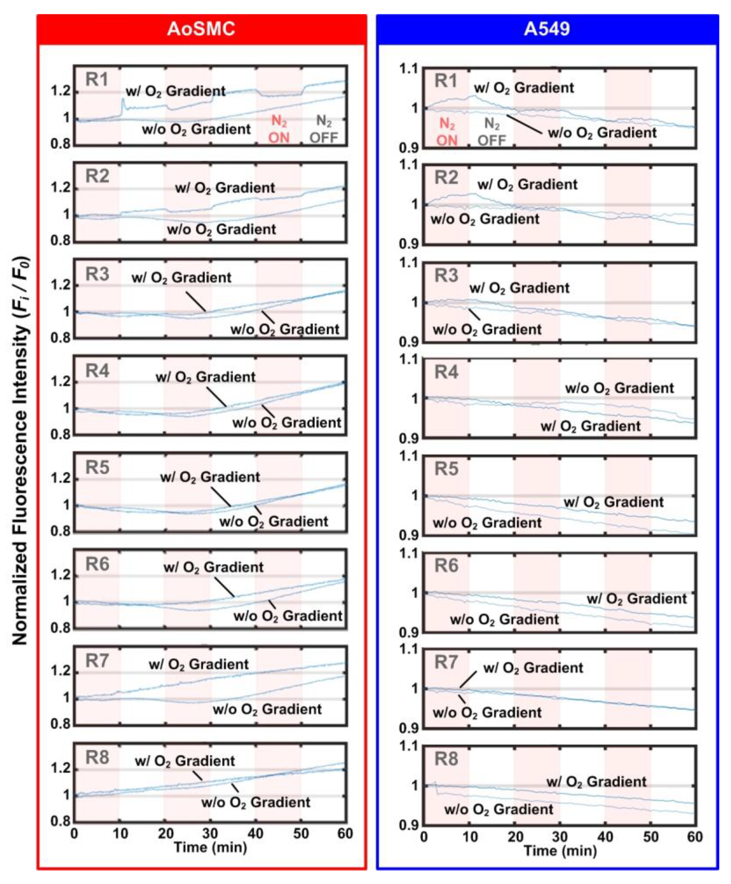 Biosensors 12 01031 g006