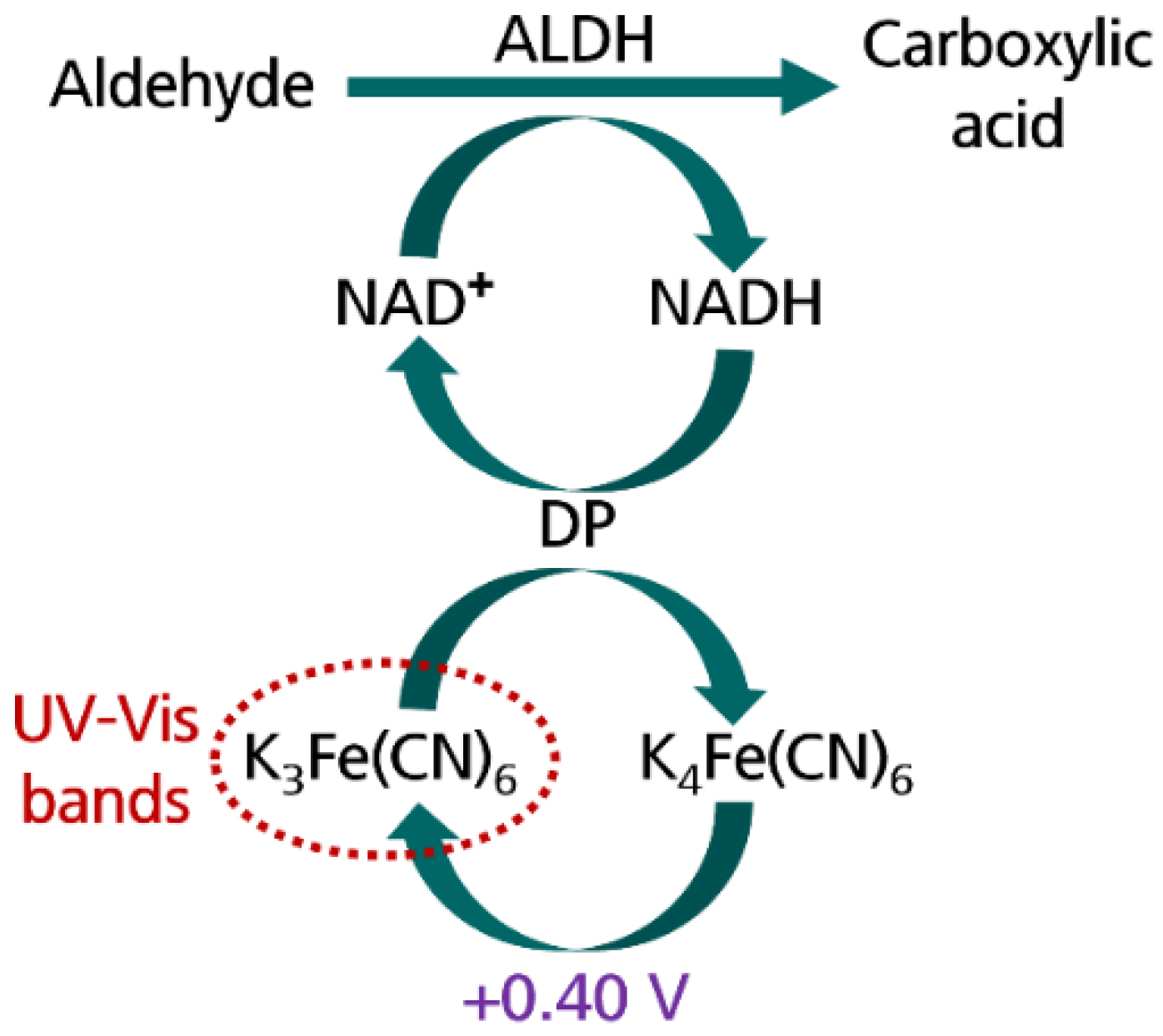 Biosensors 12 01032 g001