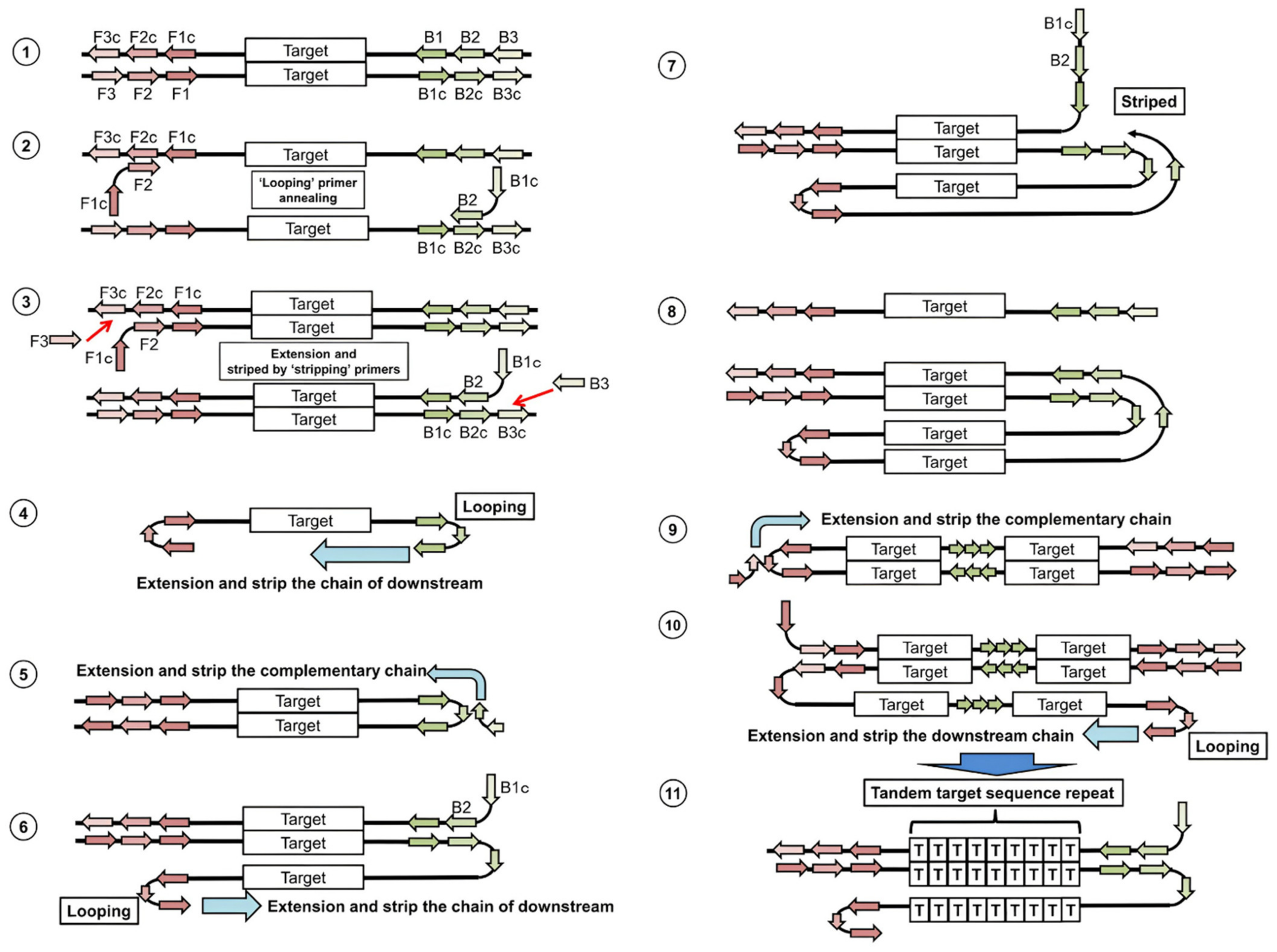Biosensors 12 01035 g001 Biosensors 12 01035 g001