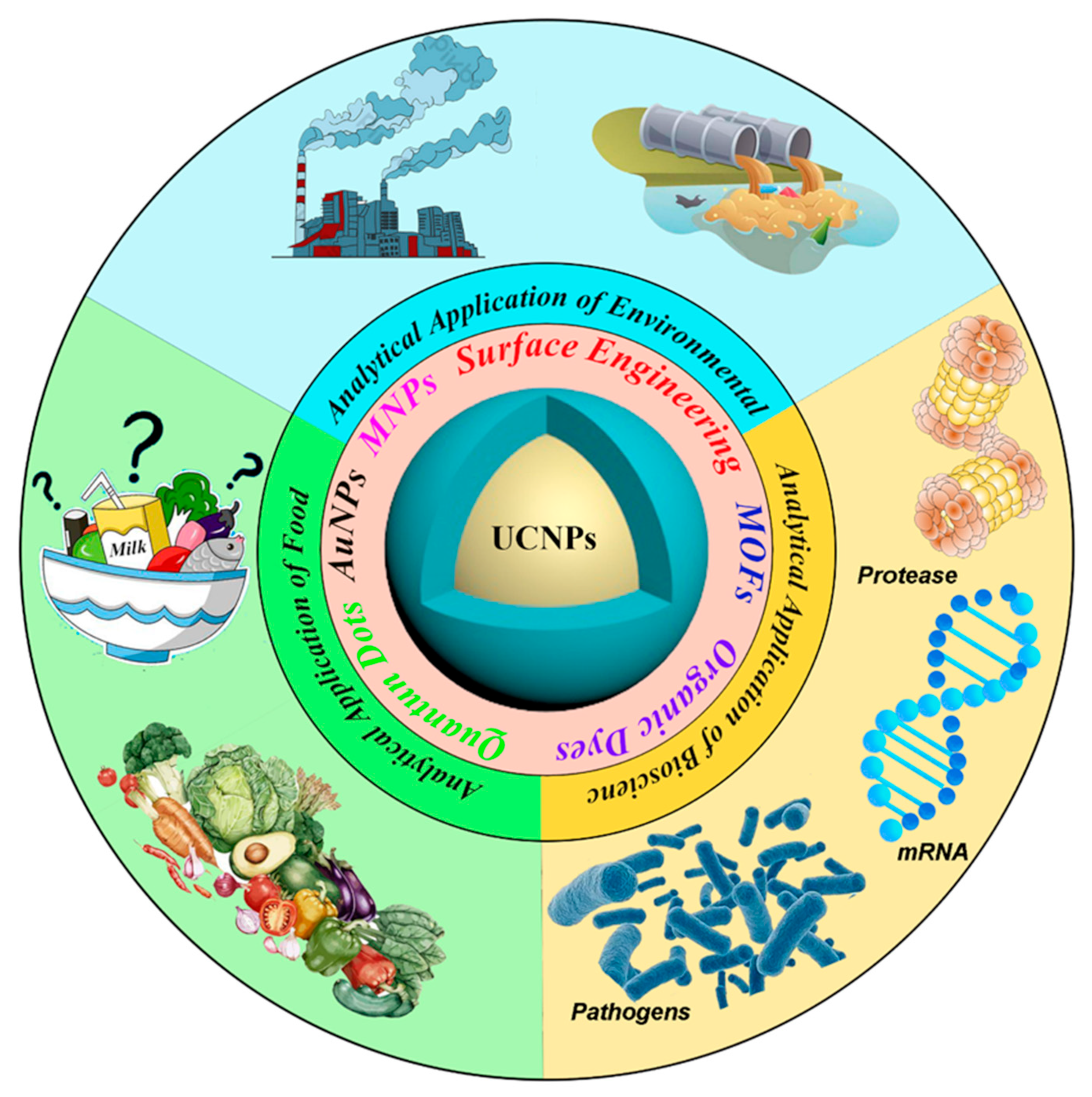 Biosensors 12 01036 g002