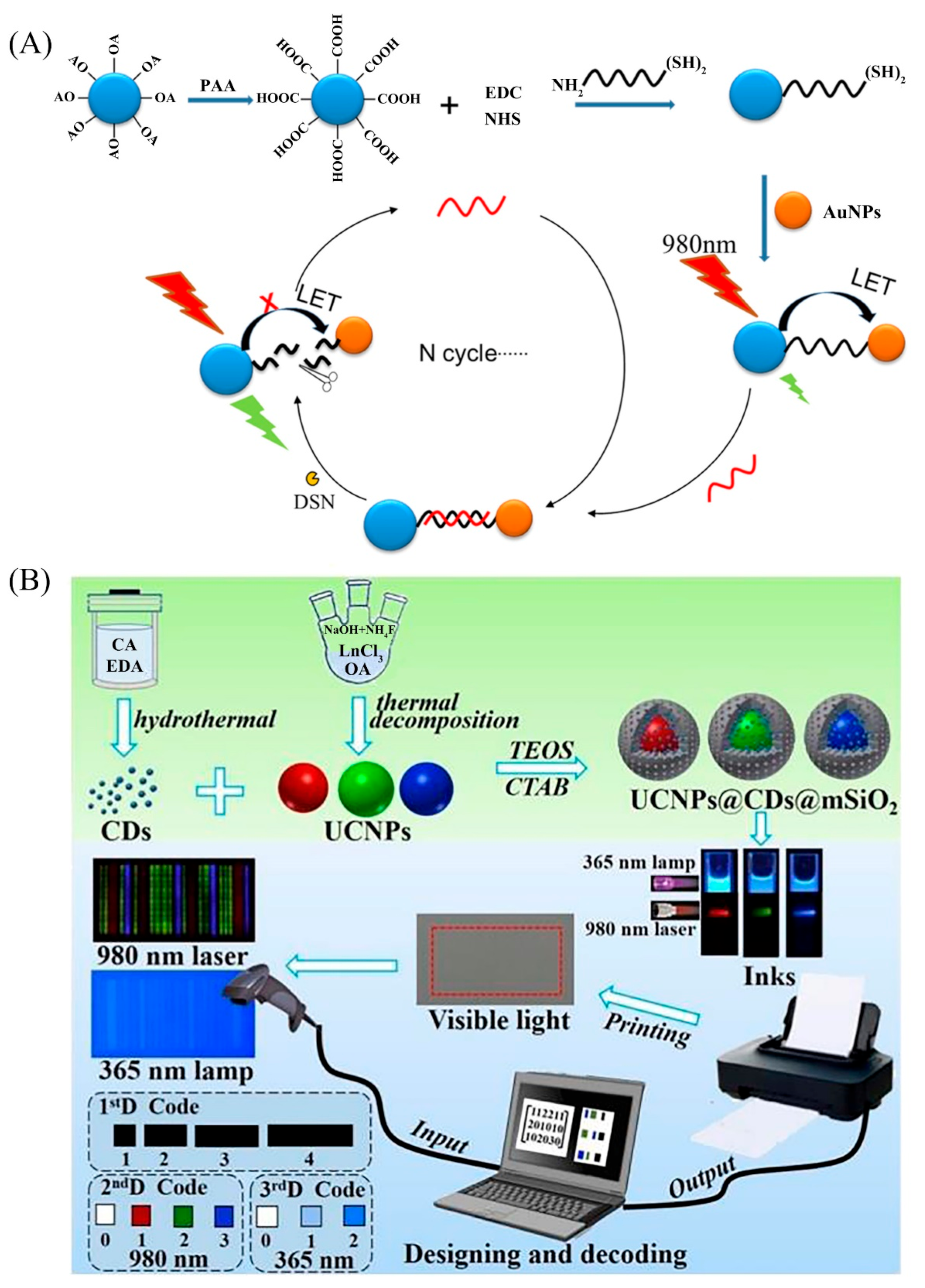 Biosensors 12 01036 g003