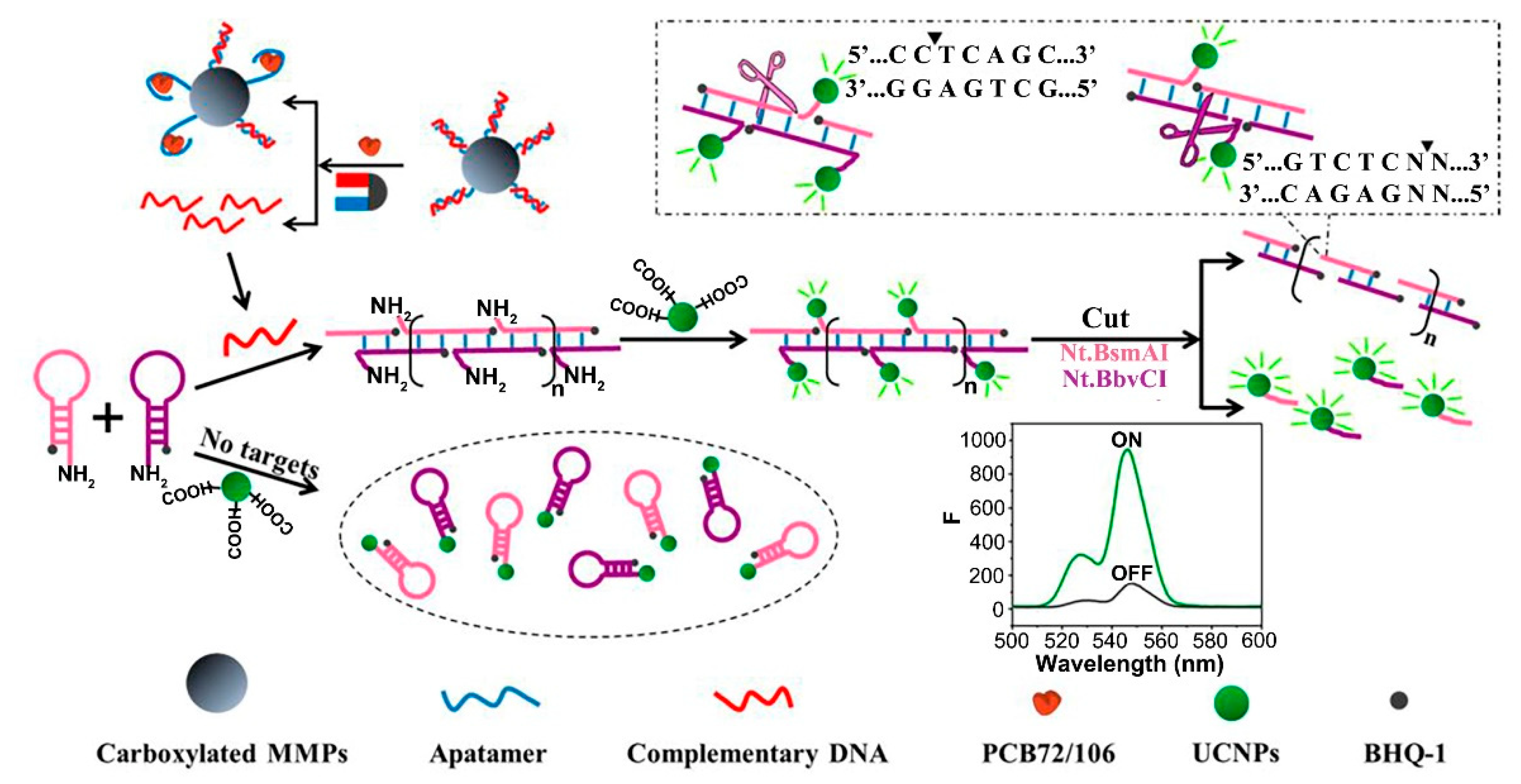 Biosensors 12 01036 g004