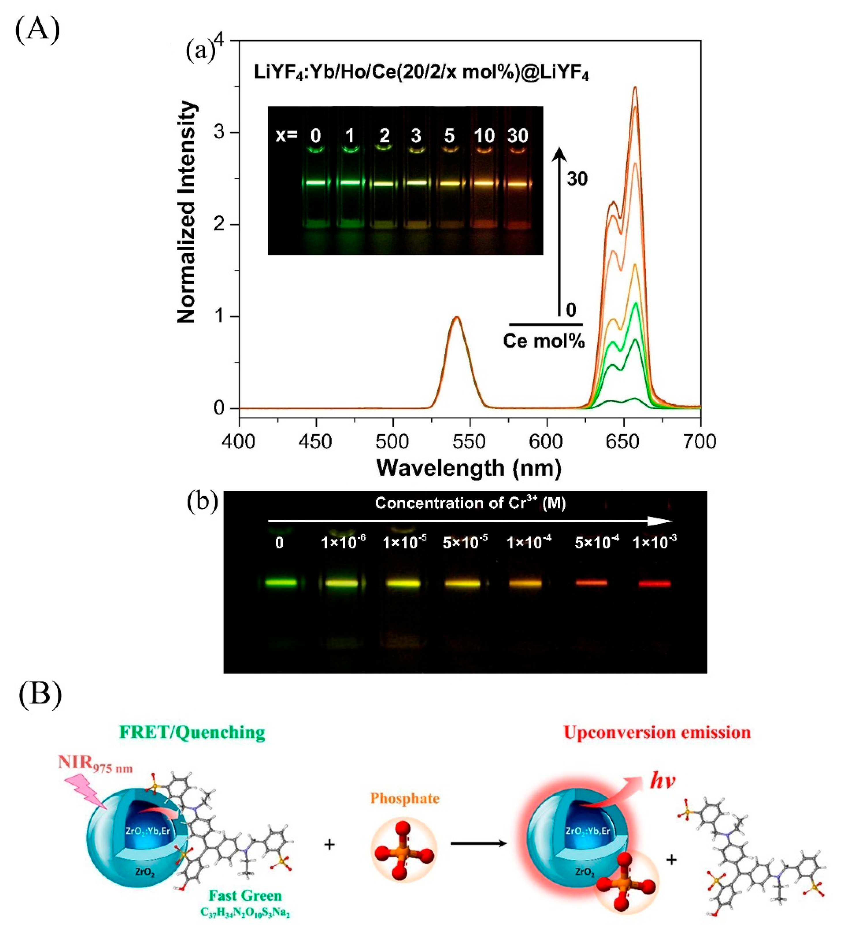 Biosensors 12 01036 g005