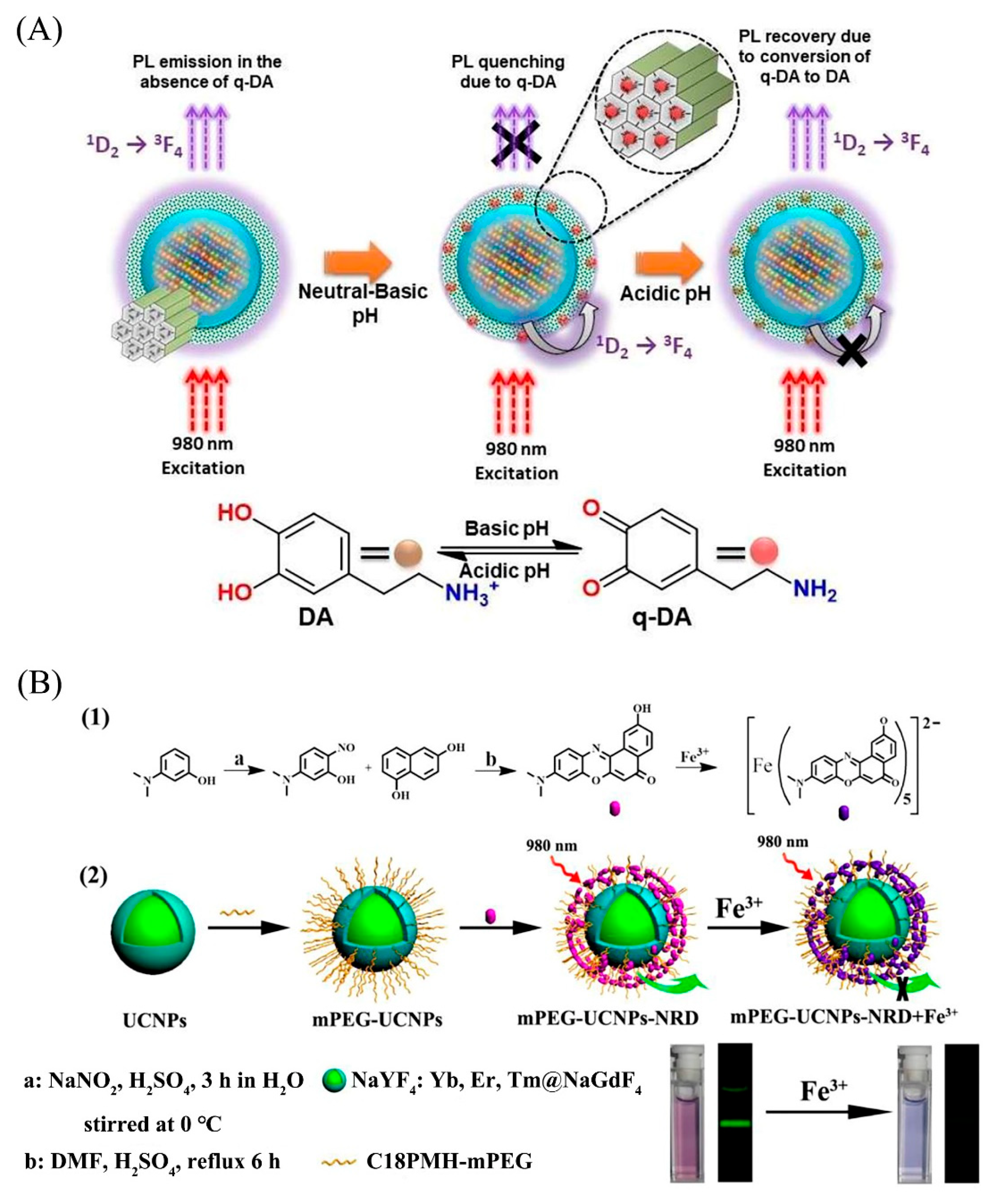 Biosensors 12 01036 g006