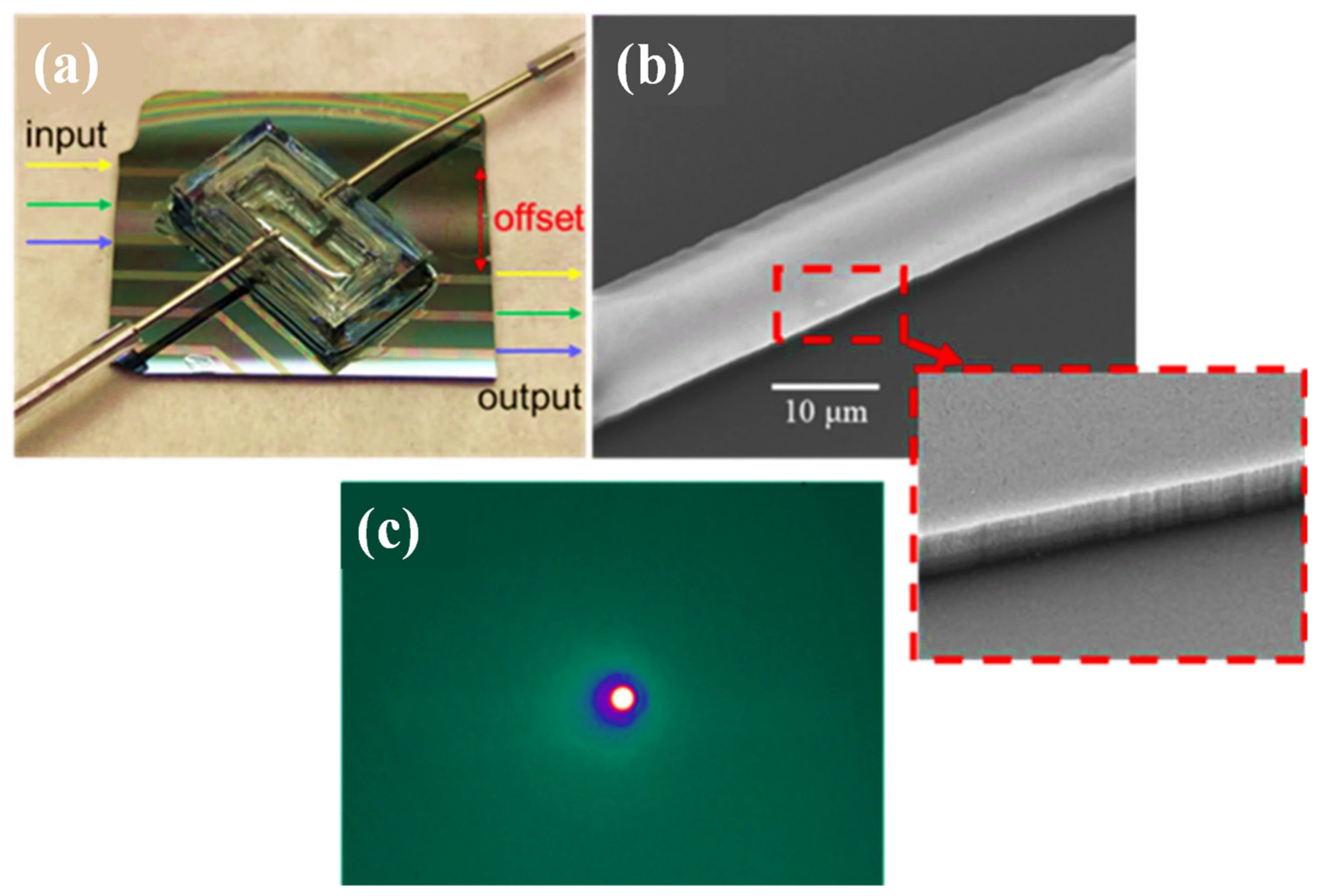 Biosensors 12 01038 g008 Biosensors 12 01038 g008