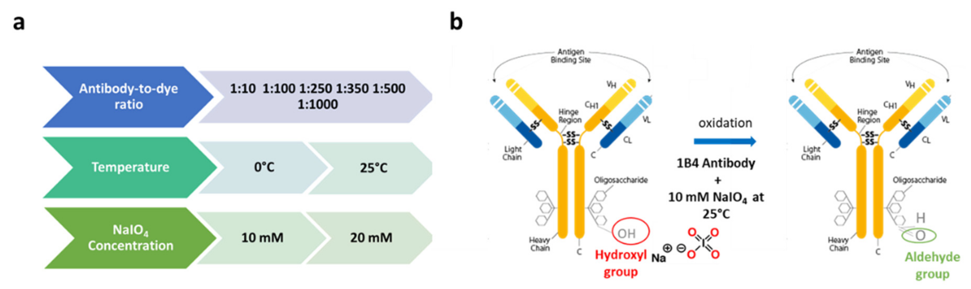 Biosensors 12 01040 g003