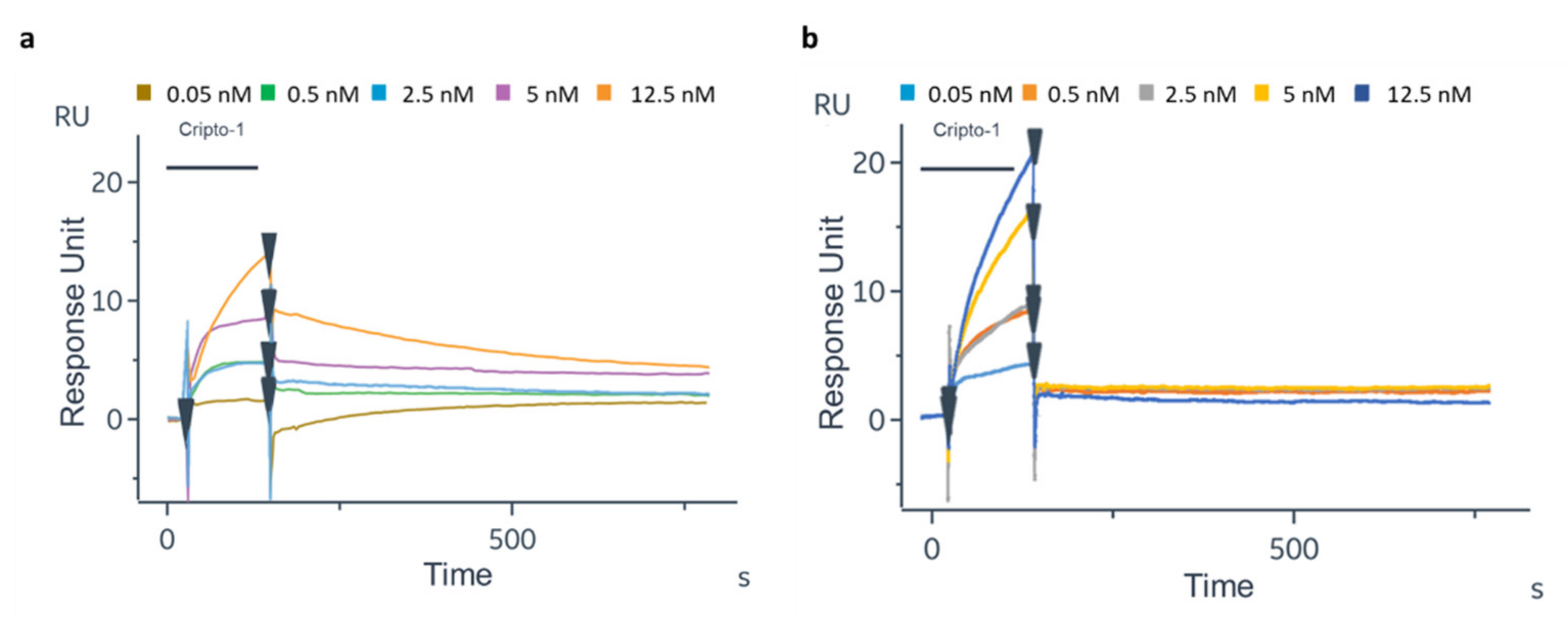 Biosensors 12 01040 g006