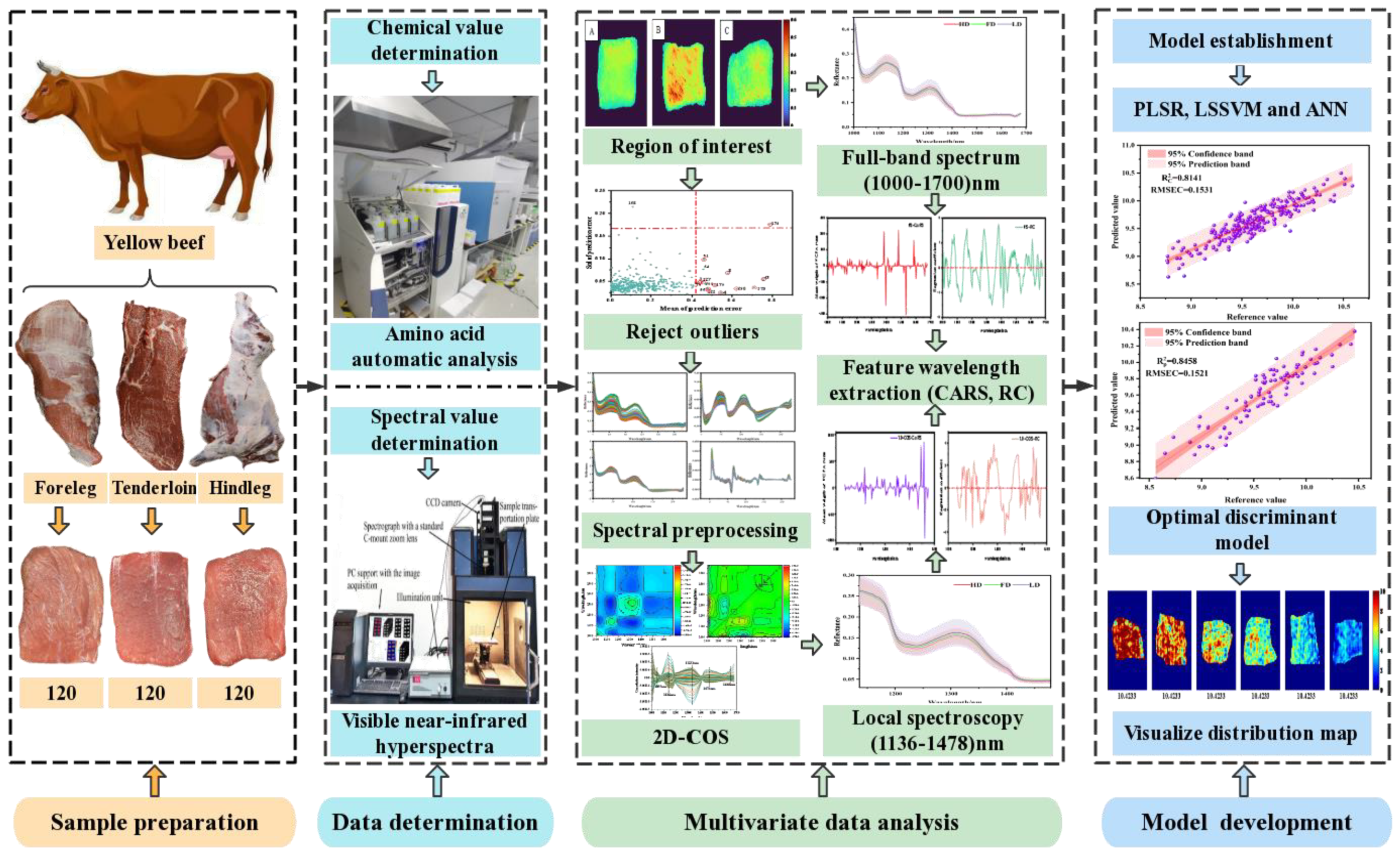 Biosensors 12 01043 g001