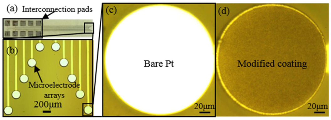Biosensors 12 01044 g002