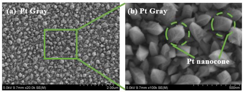 Biosensors 12 01044 g005