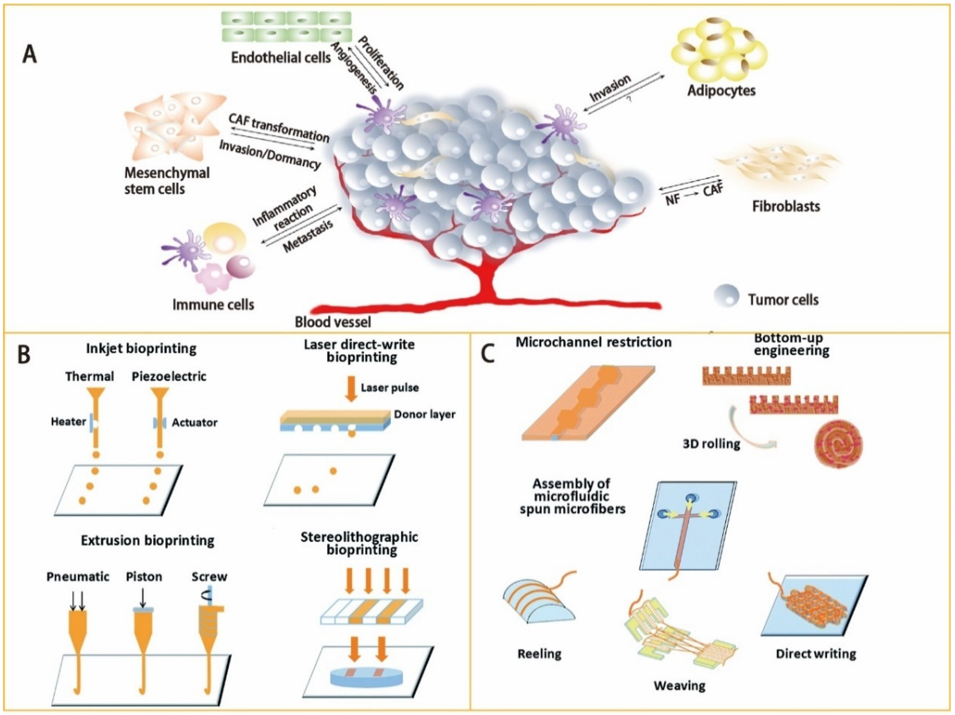 Biosensors 12 01045 g002