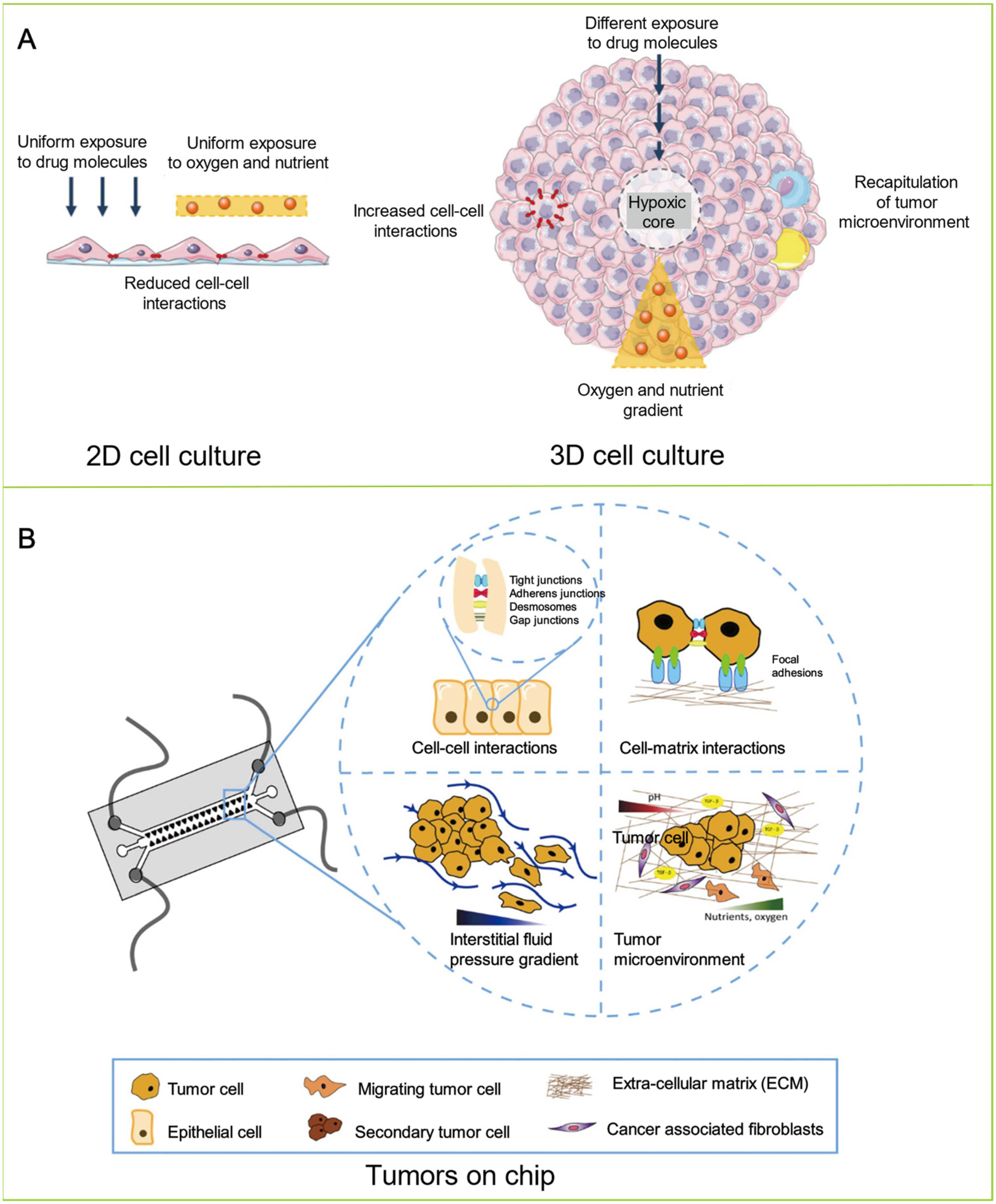 Biosensors 12 01045 g003