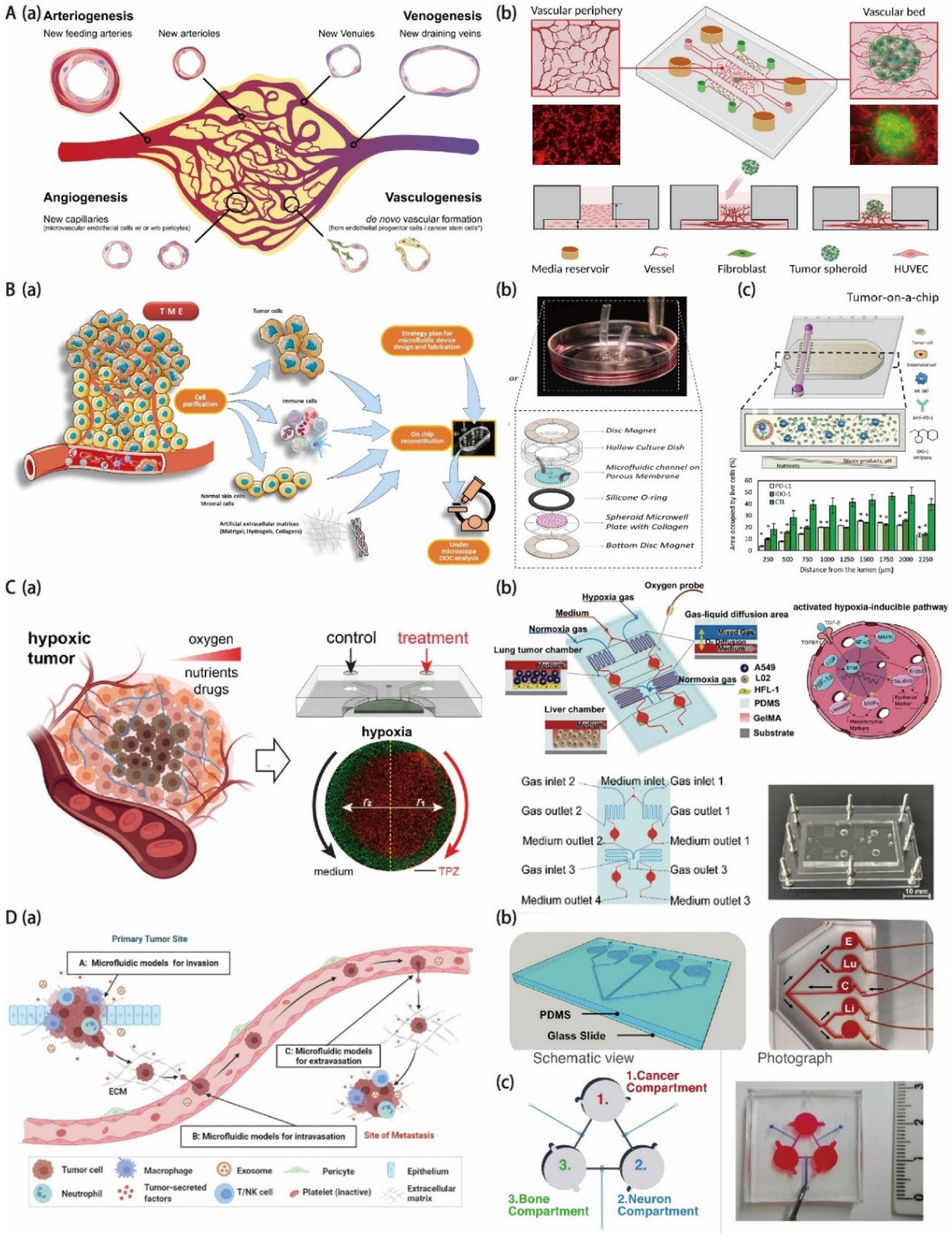 Biosensors 12 01045 g004