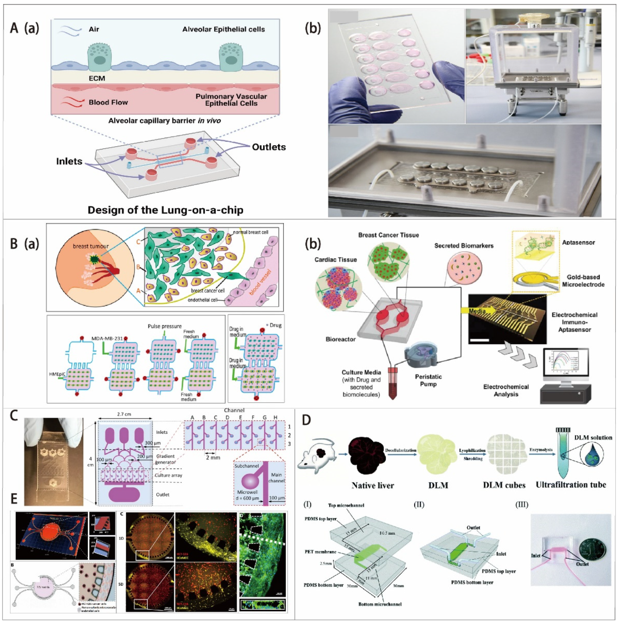 Biosensors 12 01045 g005