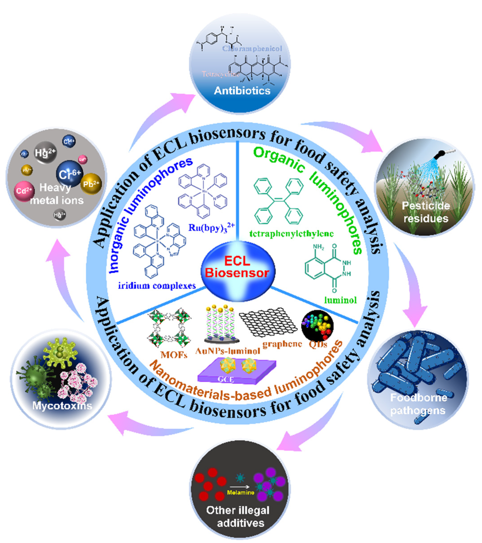 Biosensors 12 01046 g001