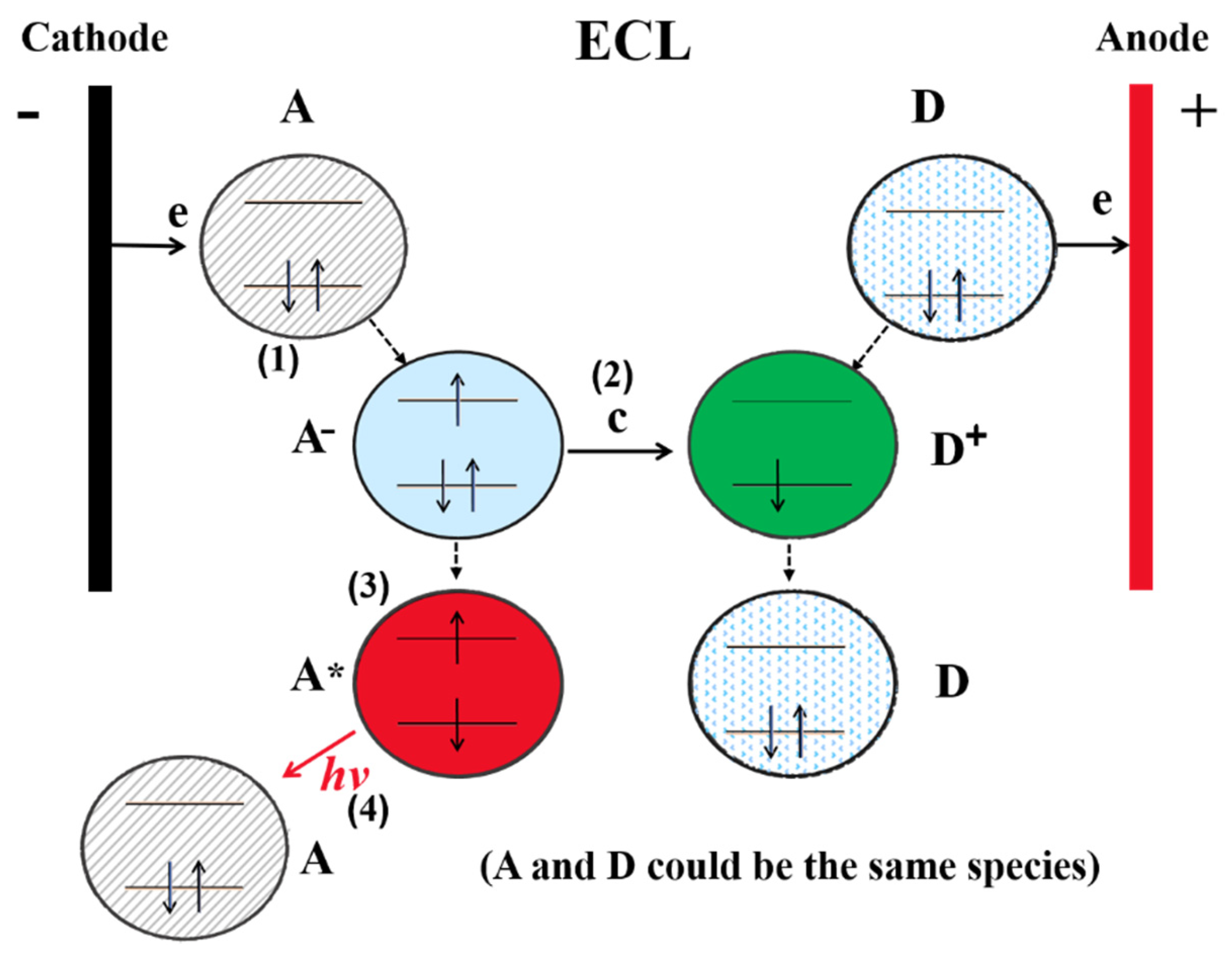Biosensors 12 01046 g002