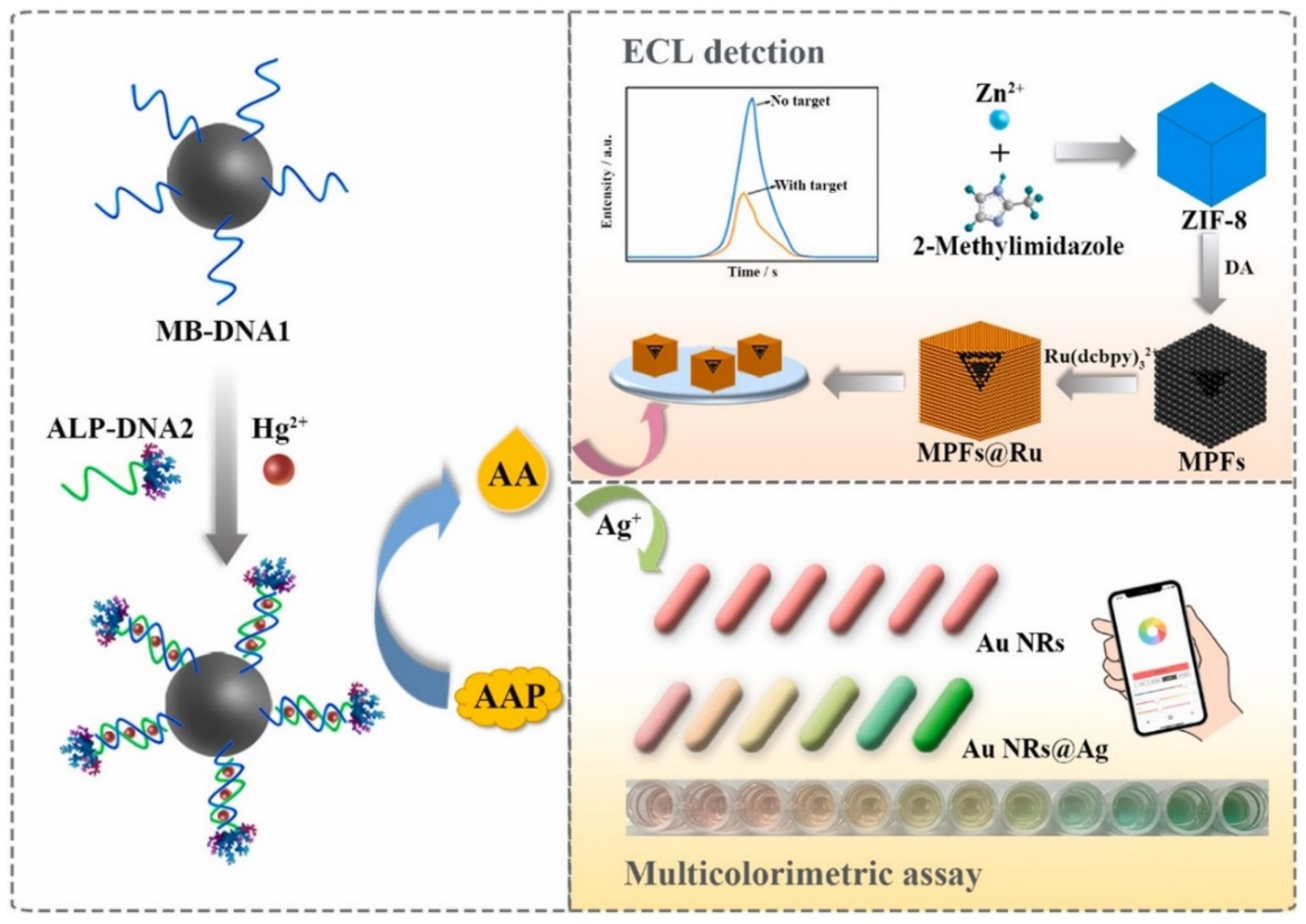 Biosensors 12 01046 g004