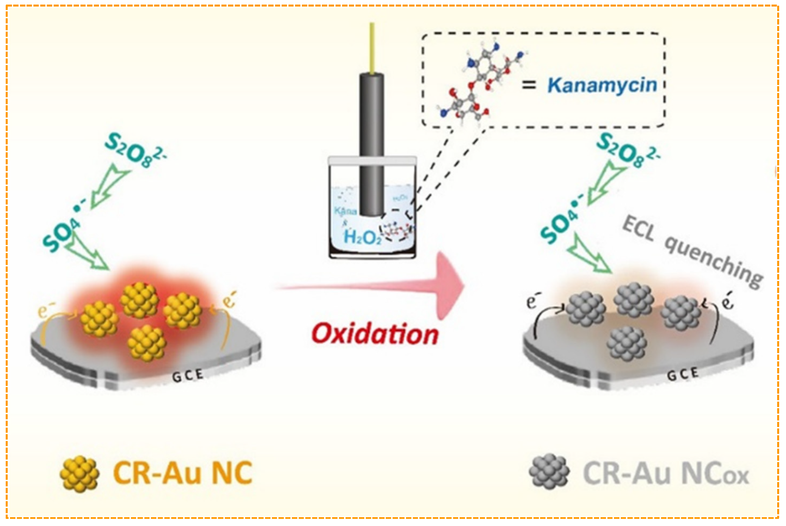 Biosensors 12 01046 g005