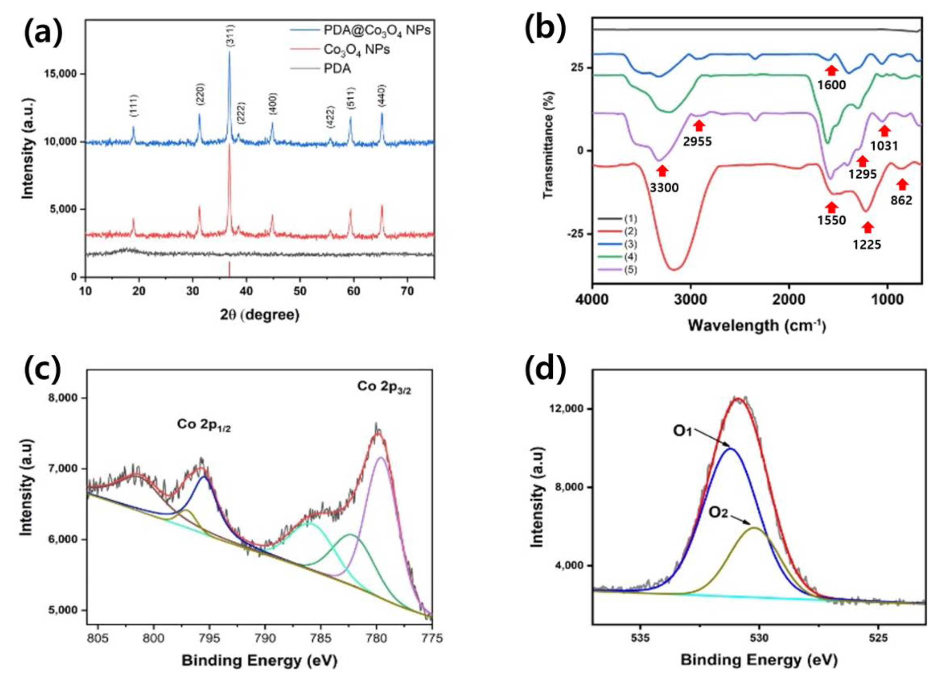 Biosensors 12 01047 g003 Biosensors 12 01047 g003