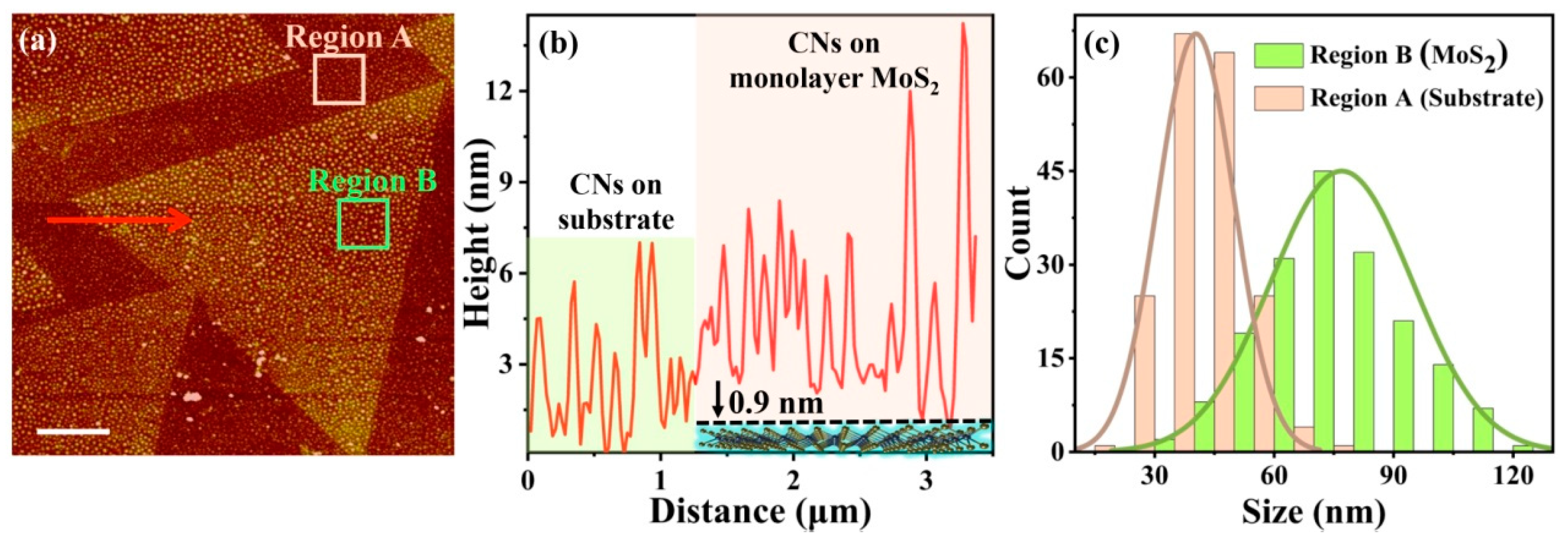 Biosensors 12 01048 g003