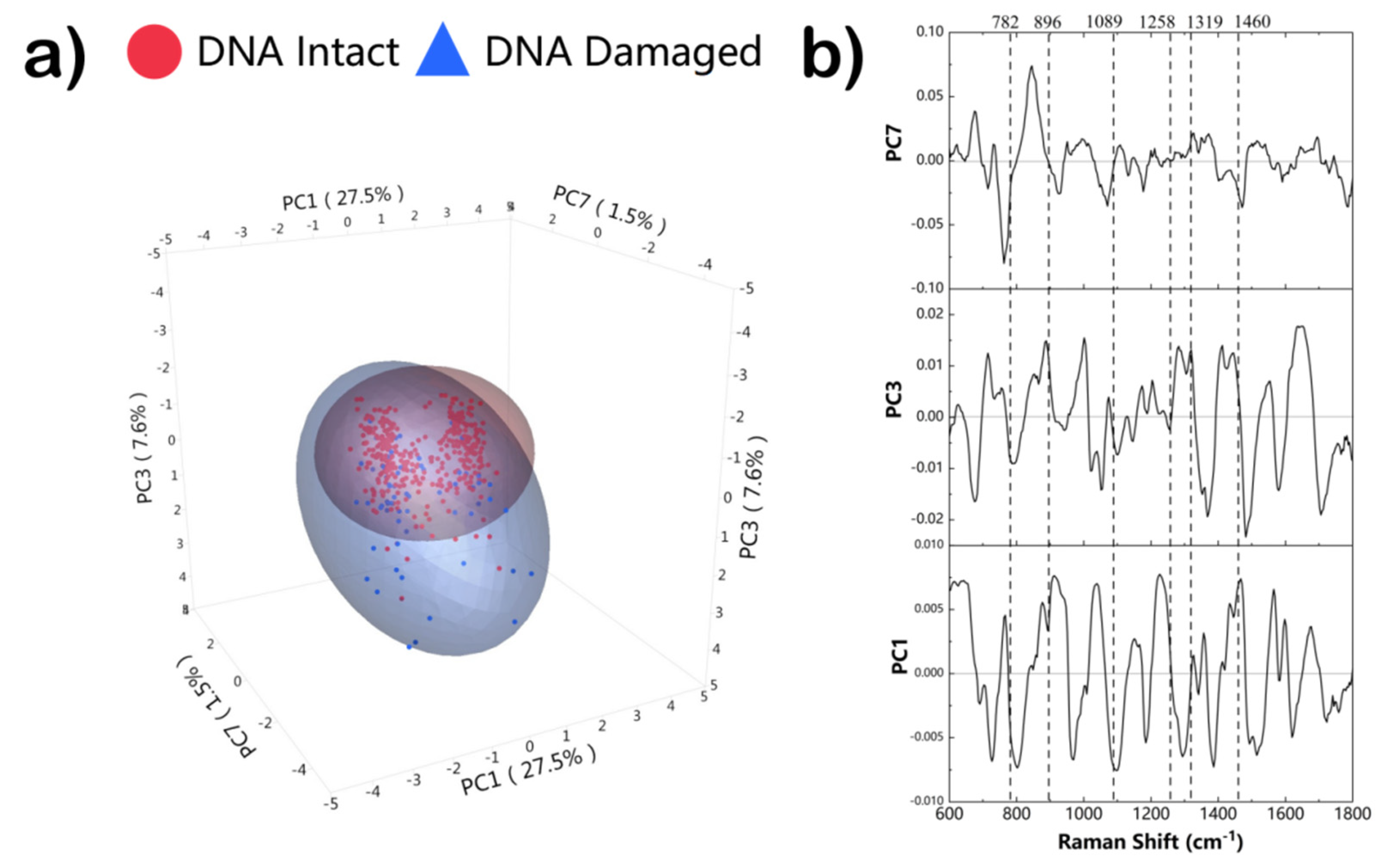 Biosensors 12 01051 g004 Biosensors 12 01051 g004