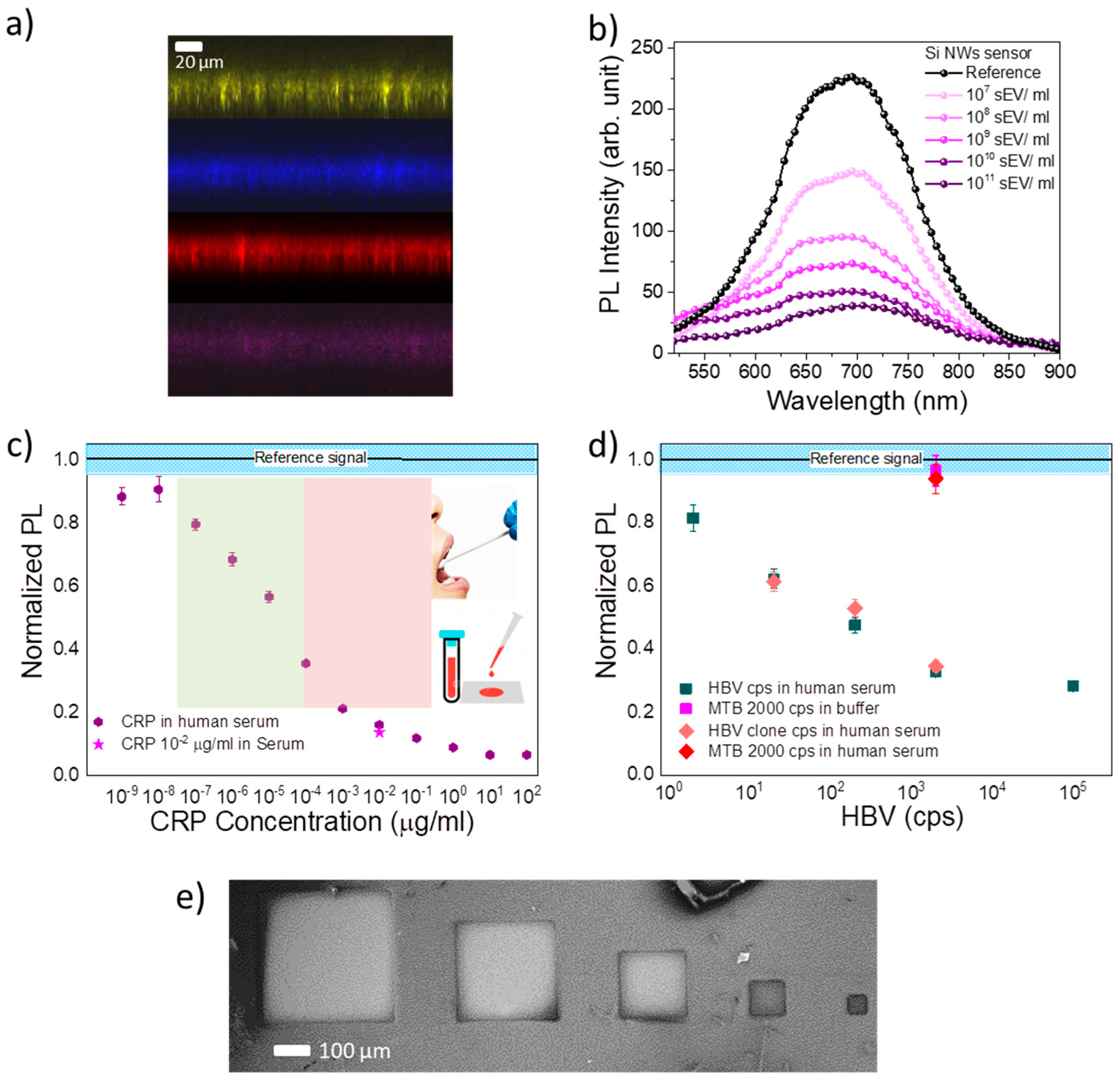 Biosensors 12 01052 g004 Biosensors 12 01052 g004