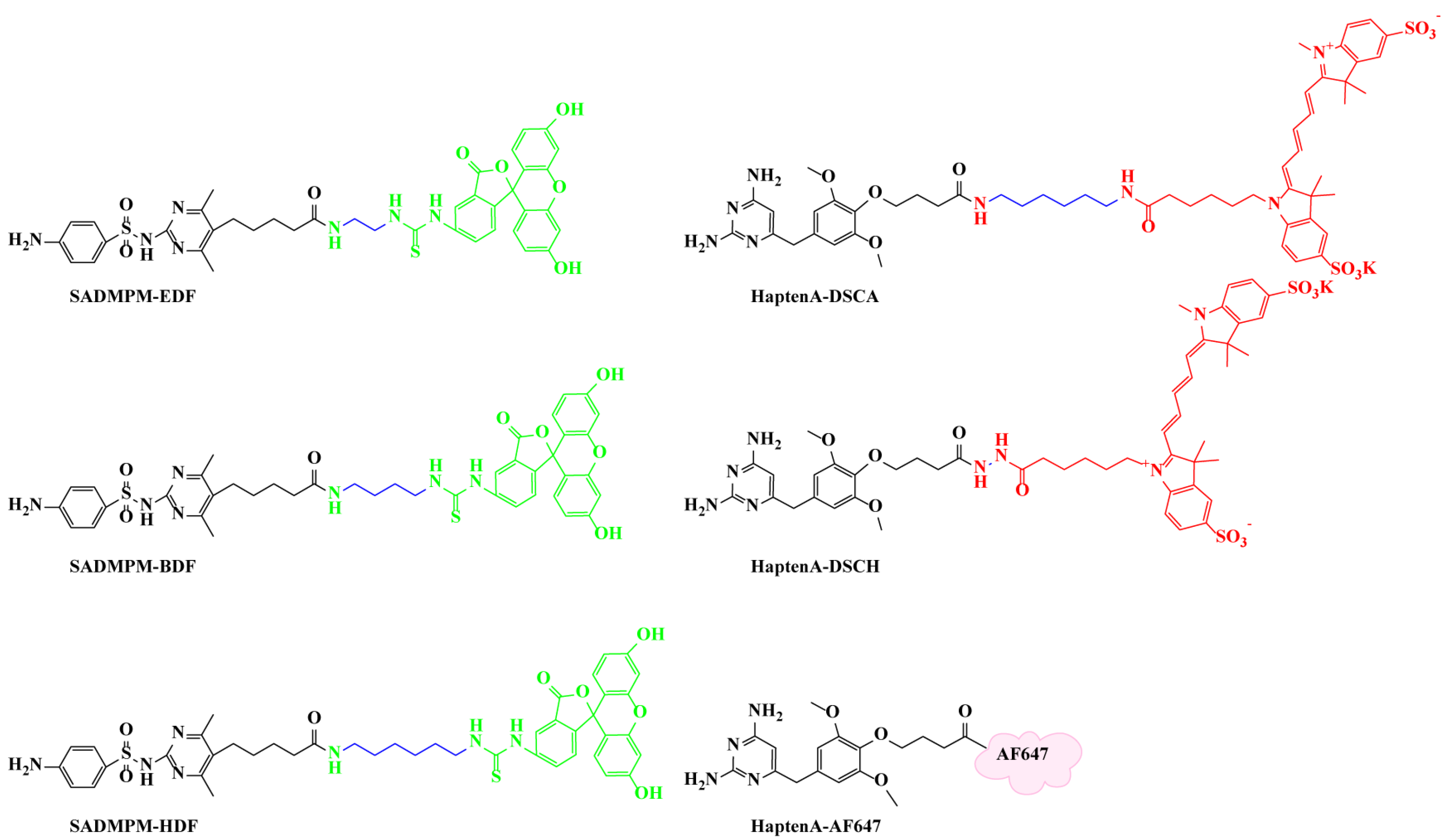 Biosensors 12 01053 g001