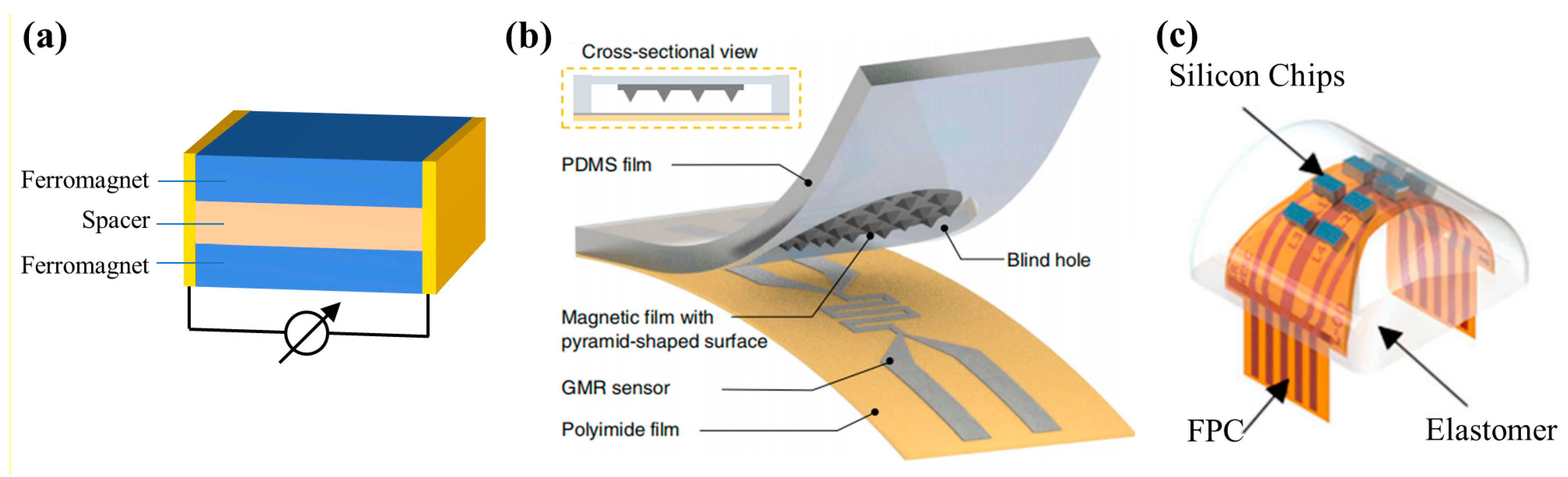 Biosensors 12 01054 g003