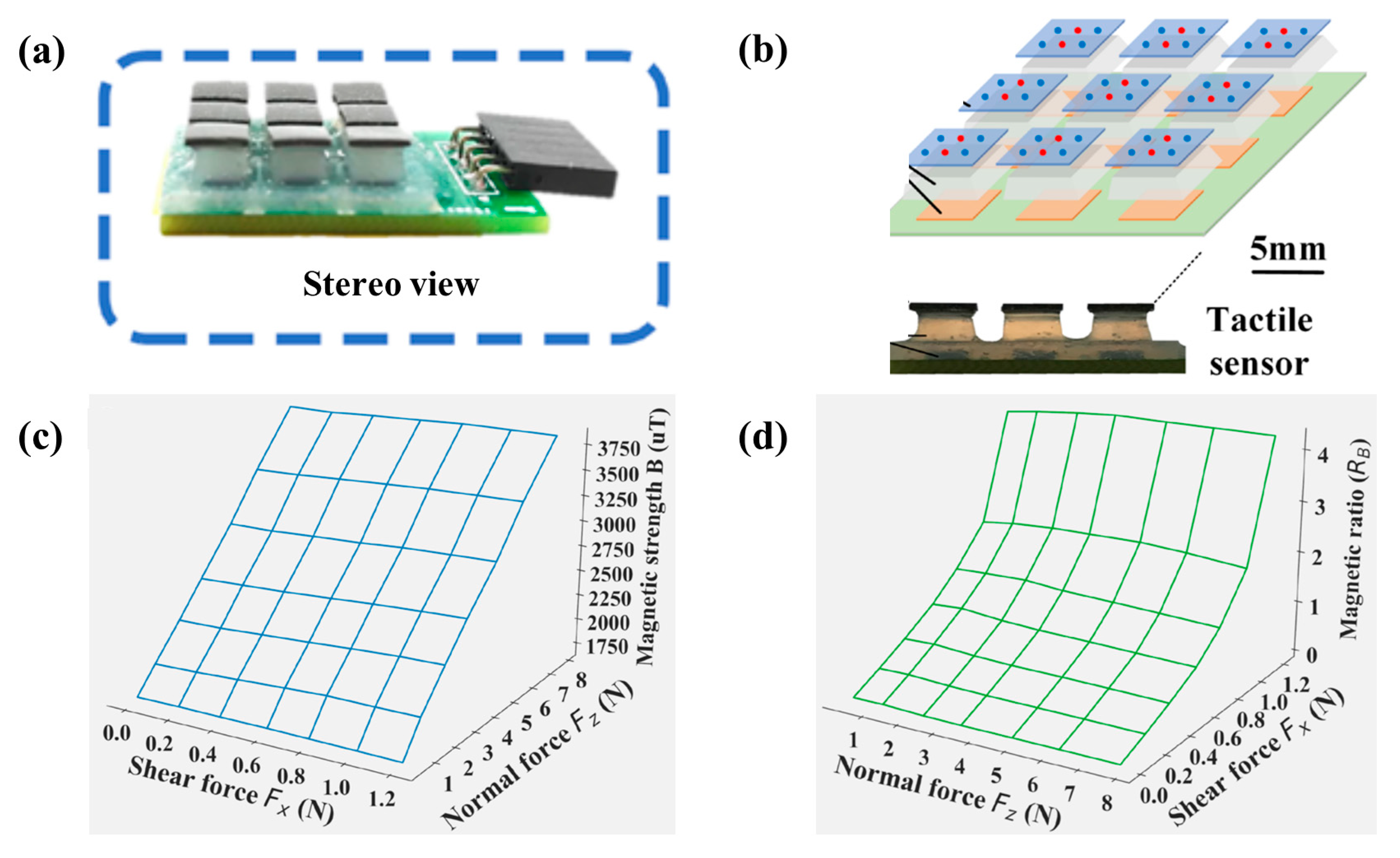 Biosensors 12 01054 g012