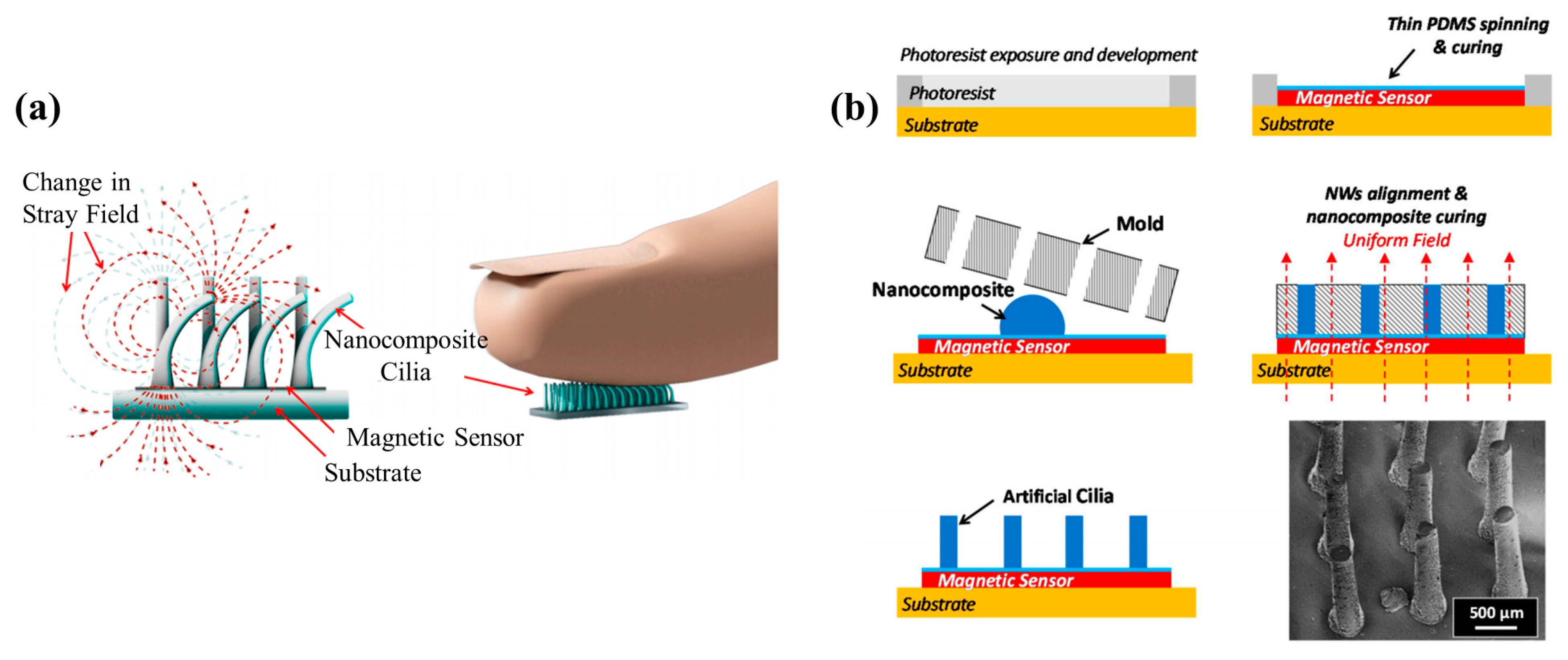 Biosensors 12 01054 g013